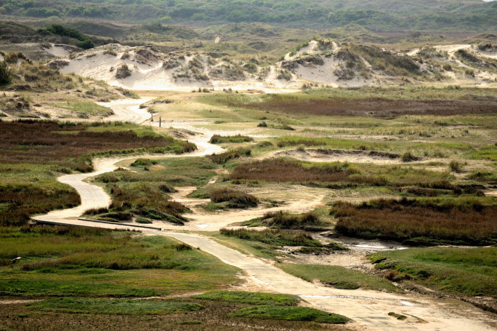Nikon D610 sample photo. Texel, slufter, de slufter photography
