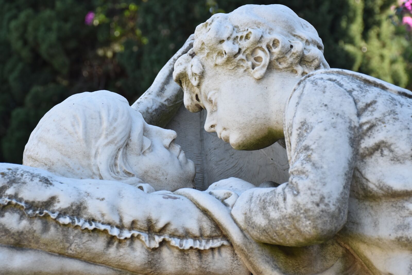 Nikon D5500 sample photo. End-of-life, death, passing photography