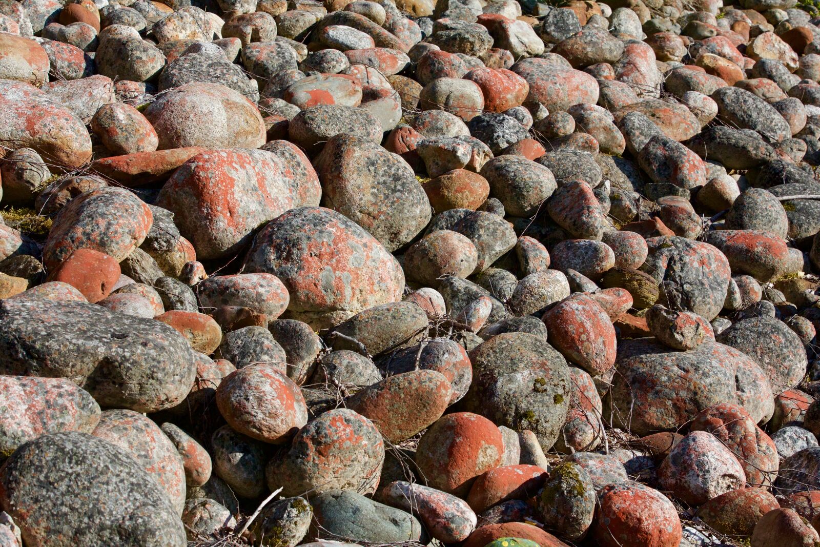 Canon EOS 5D Mark III sample photo. Rocks, pebbles, pebble photography