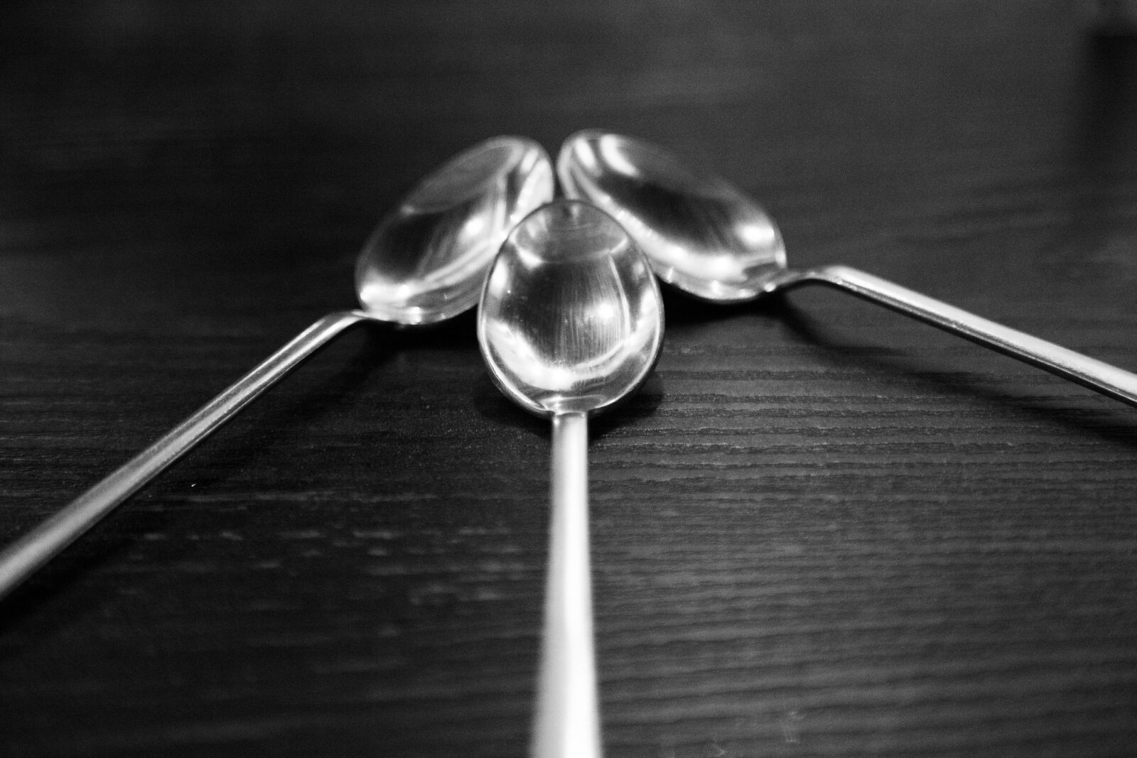 Canon EOS 6D + Canon EF 24-105mm F4L IS USM sample photo. Spoons, cutlery, silverware photography