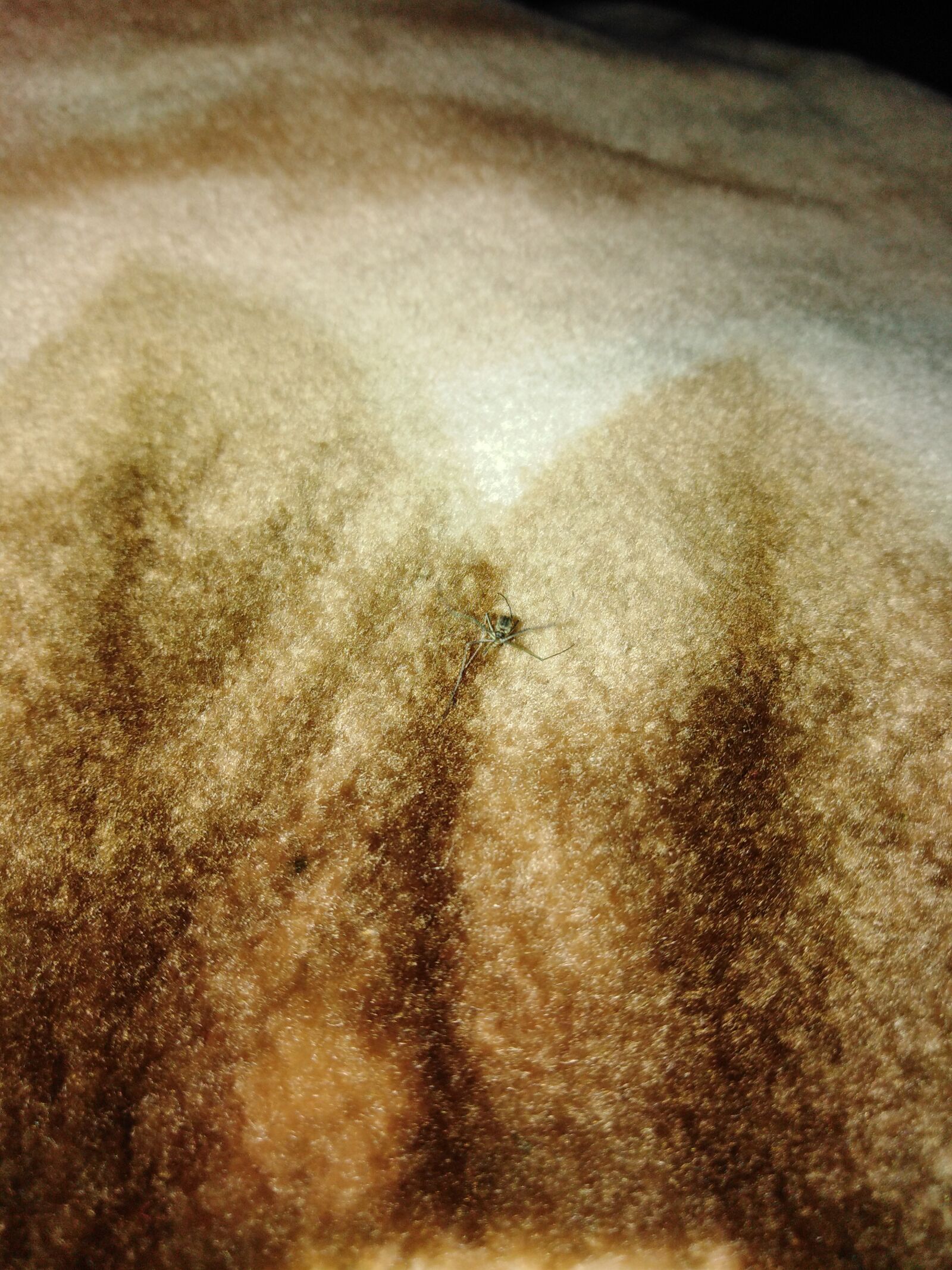 HUAWEI Y6 PRIME 2018 sample photo. Unknown, what is this photography