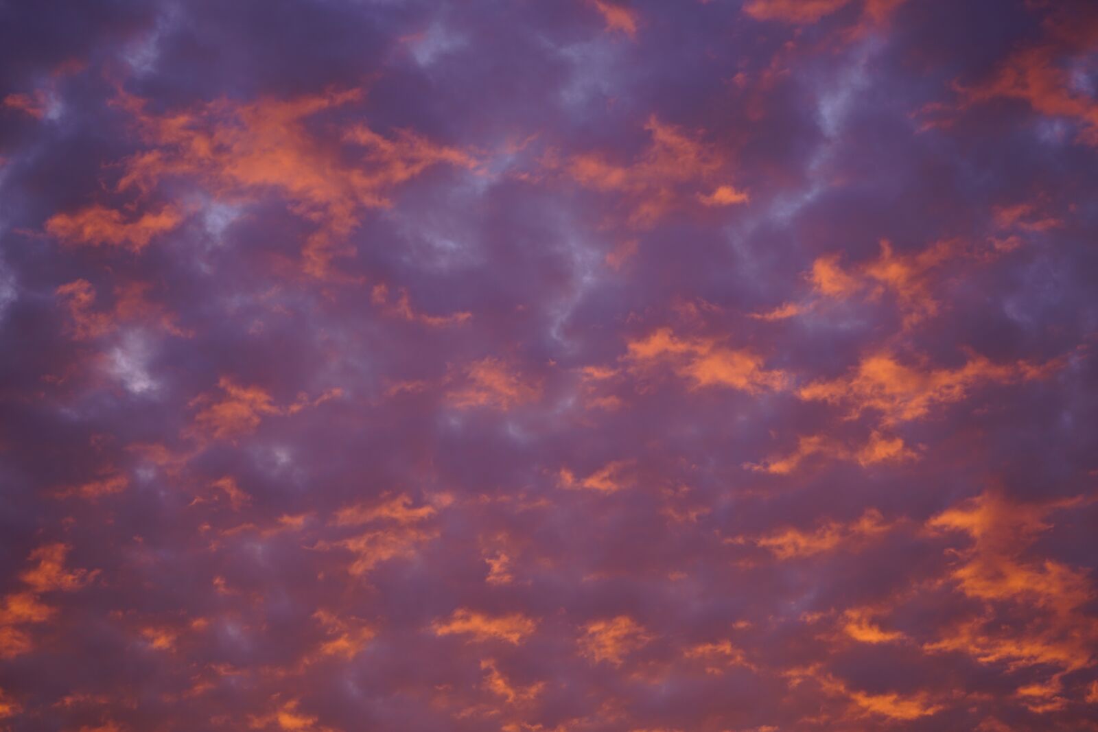 Sony a7R II + Sony FE 90mm F2.8 Macro G OSS sample photo. Cloudscape, clouds, sky photography