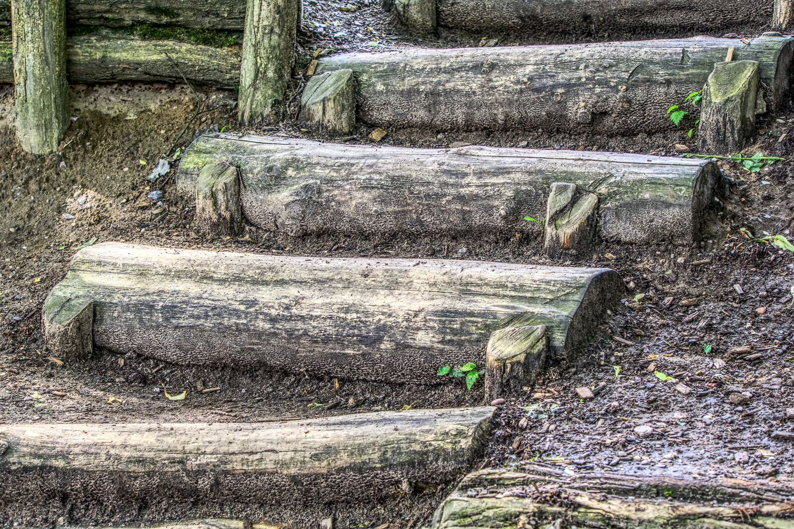 Sony a6000 sample photo. Stairs, wood stairs, top photography