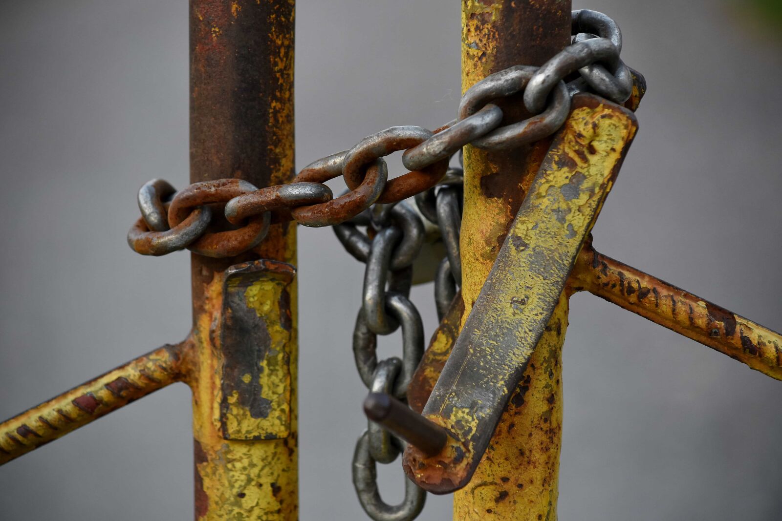 Nikon D5500 sample photo. Chain, fence, gate, metal photography