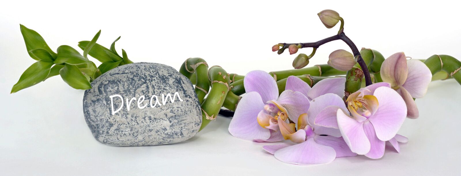 Nikon D7100 sample photo. Orchid, orchid flower, bamboo photography