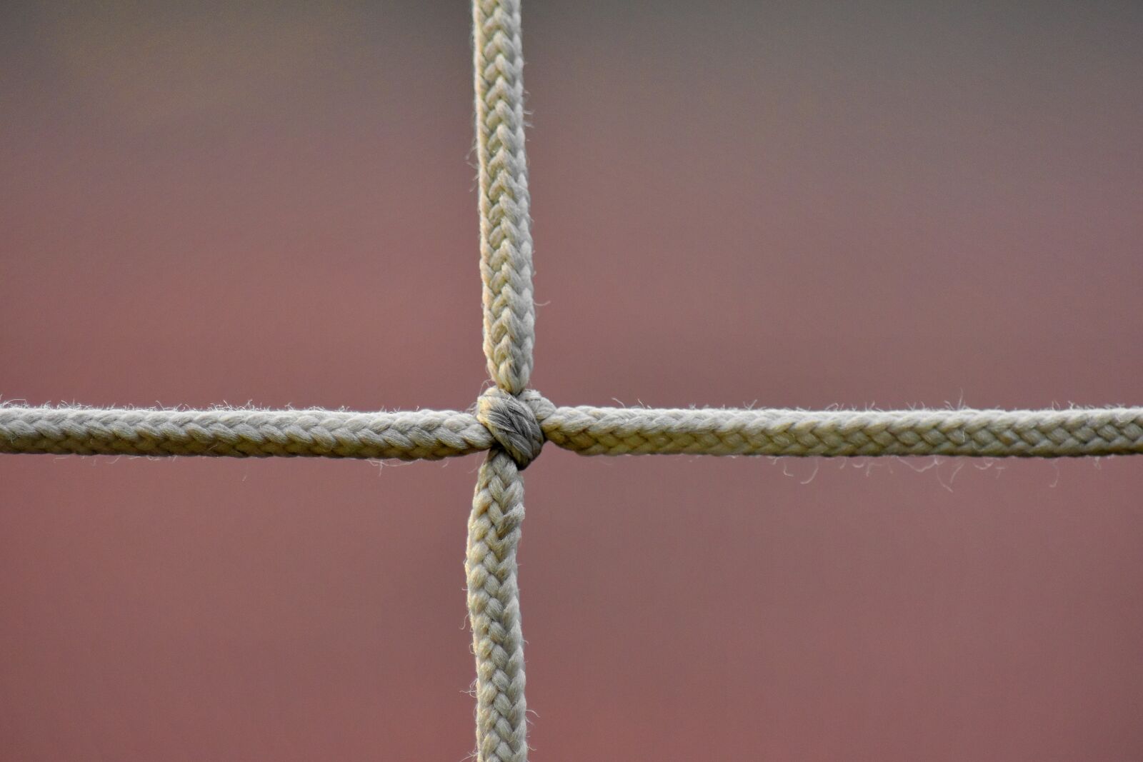 Nikon D5500 sample photo. Rope, knot, fastener, strength photography
