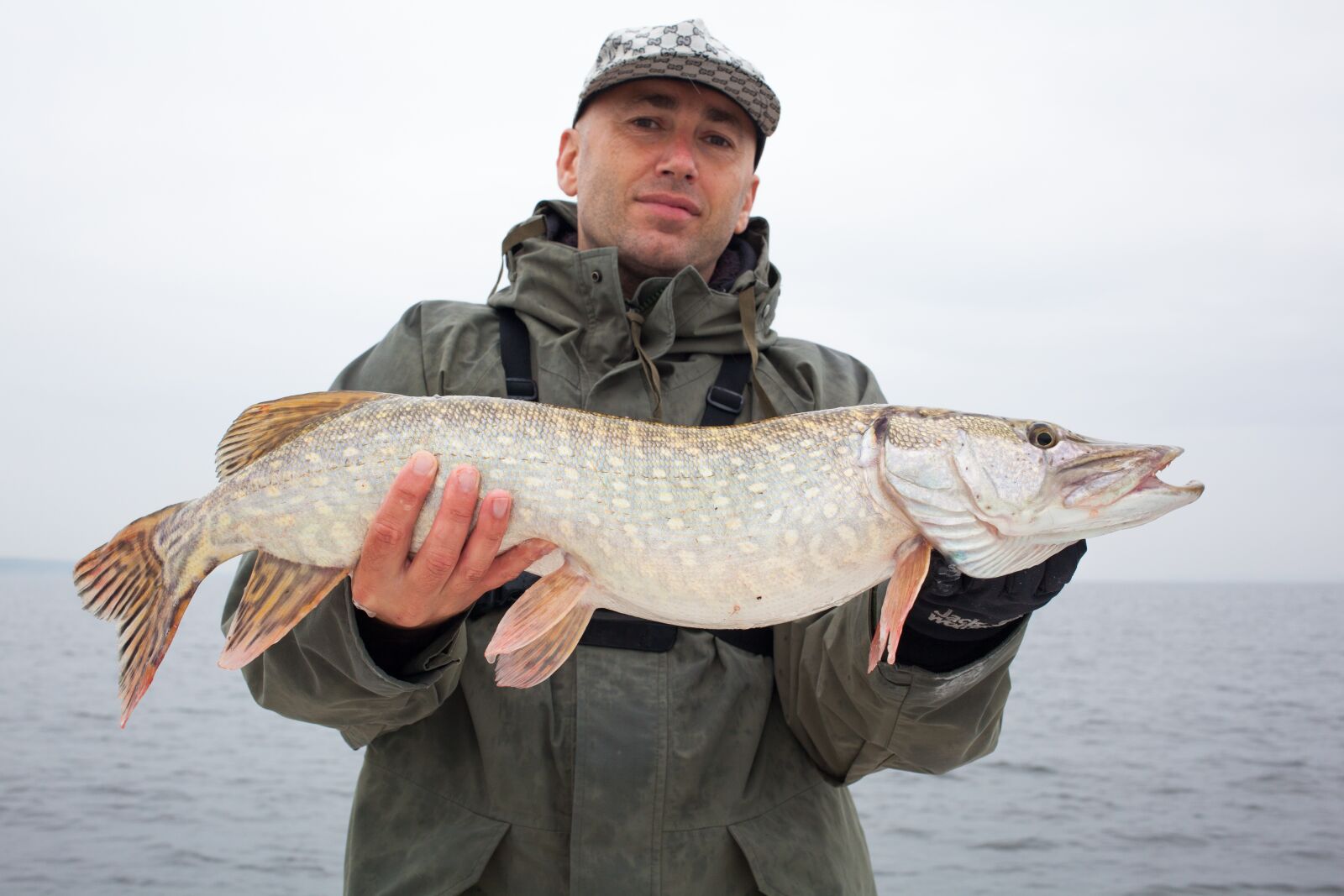 Canon EOS 5D Mark II + Canon EF 40mm F2.8 STM sample photo. Pike perch, fish, perch photography