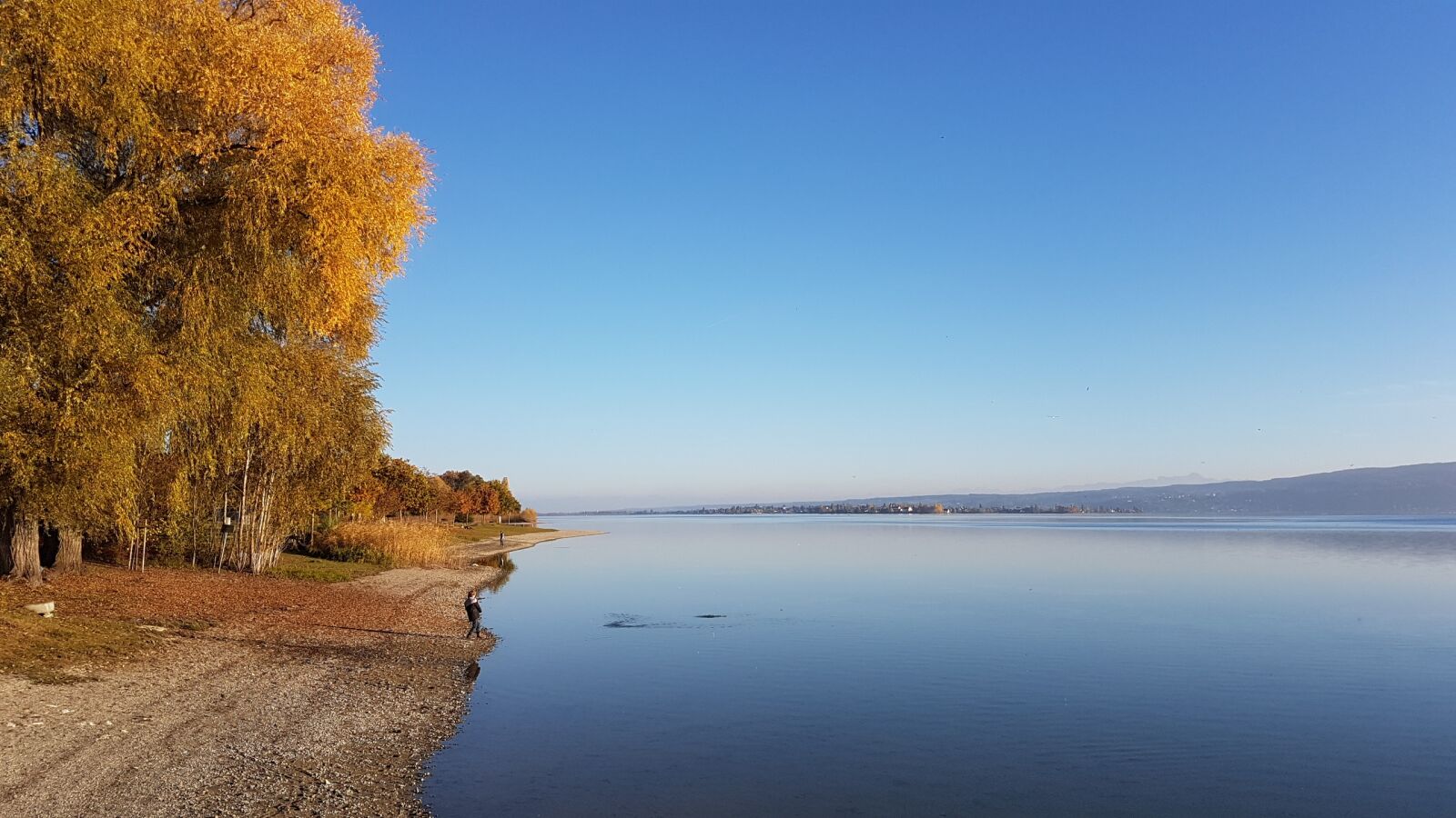 Samsung Galaxy S7 sample photo. Lake constance, sunset, abendstimmung photography