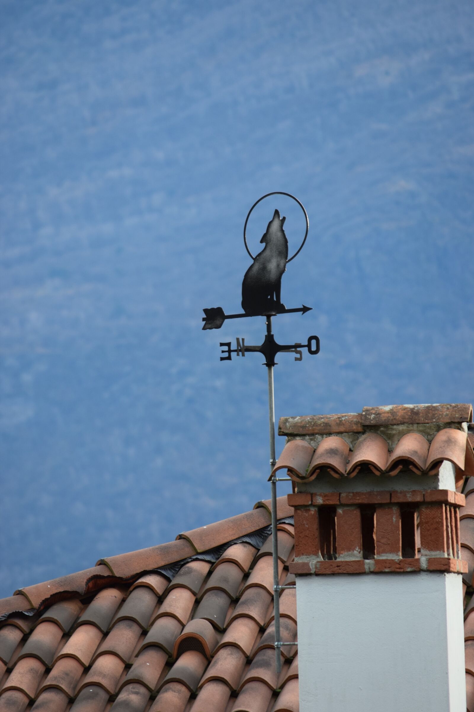 Nikon D3300 sample photo. Weathervane, wind marks, wolf photography