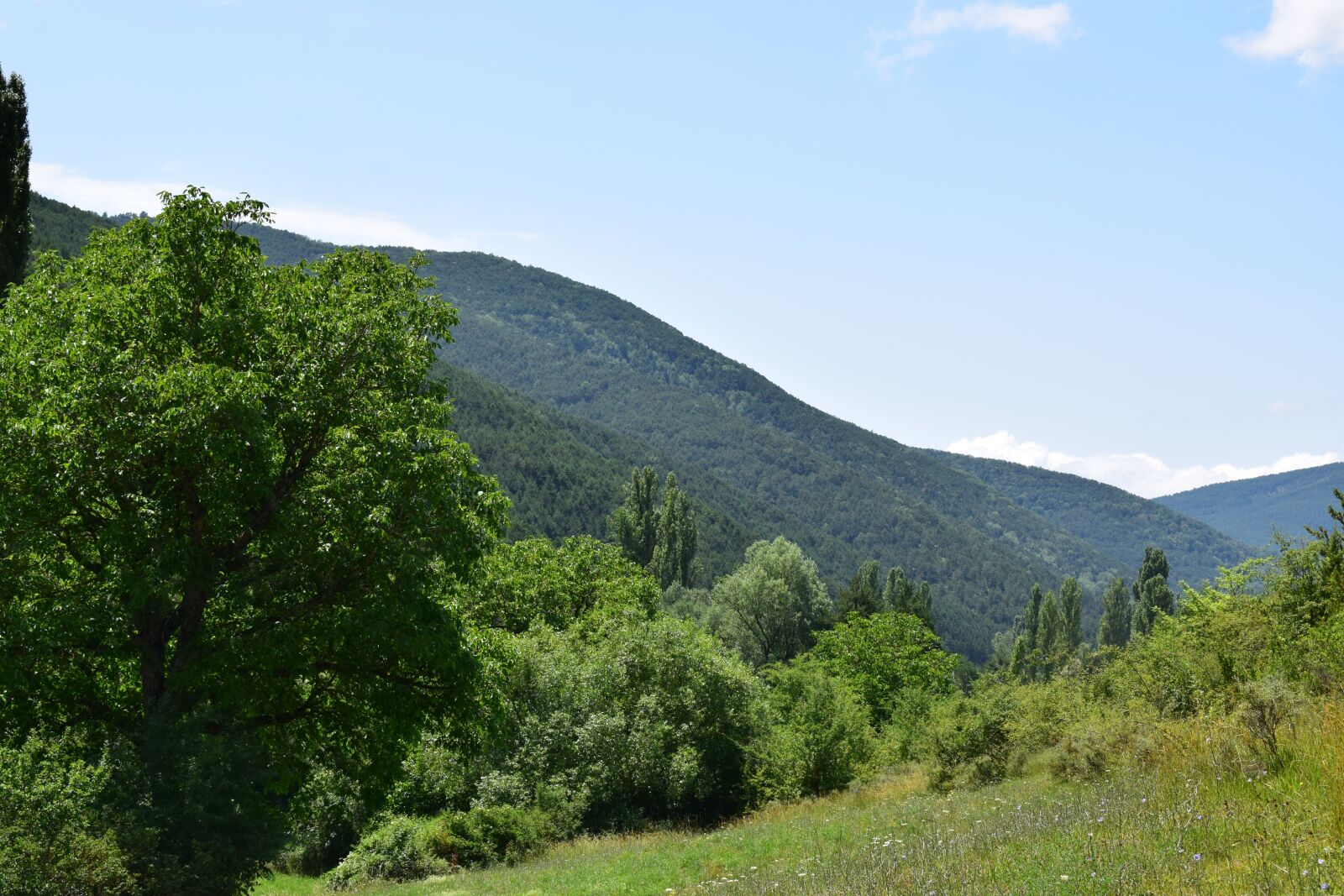 Nikon D3300 sample photo. National park, views, landscapes photography