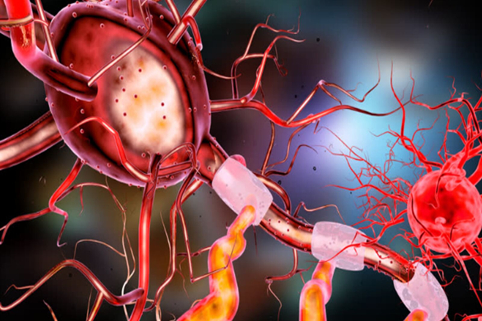 Nikon D5200 sample photo. Neuron, brain, human photography
