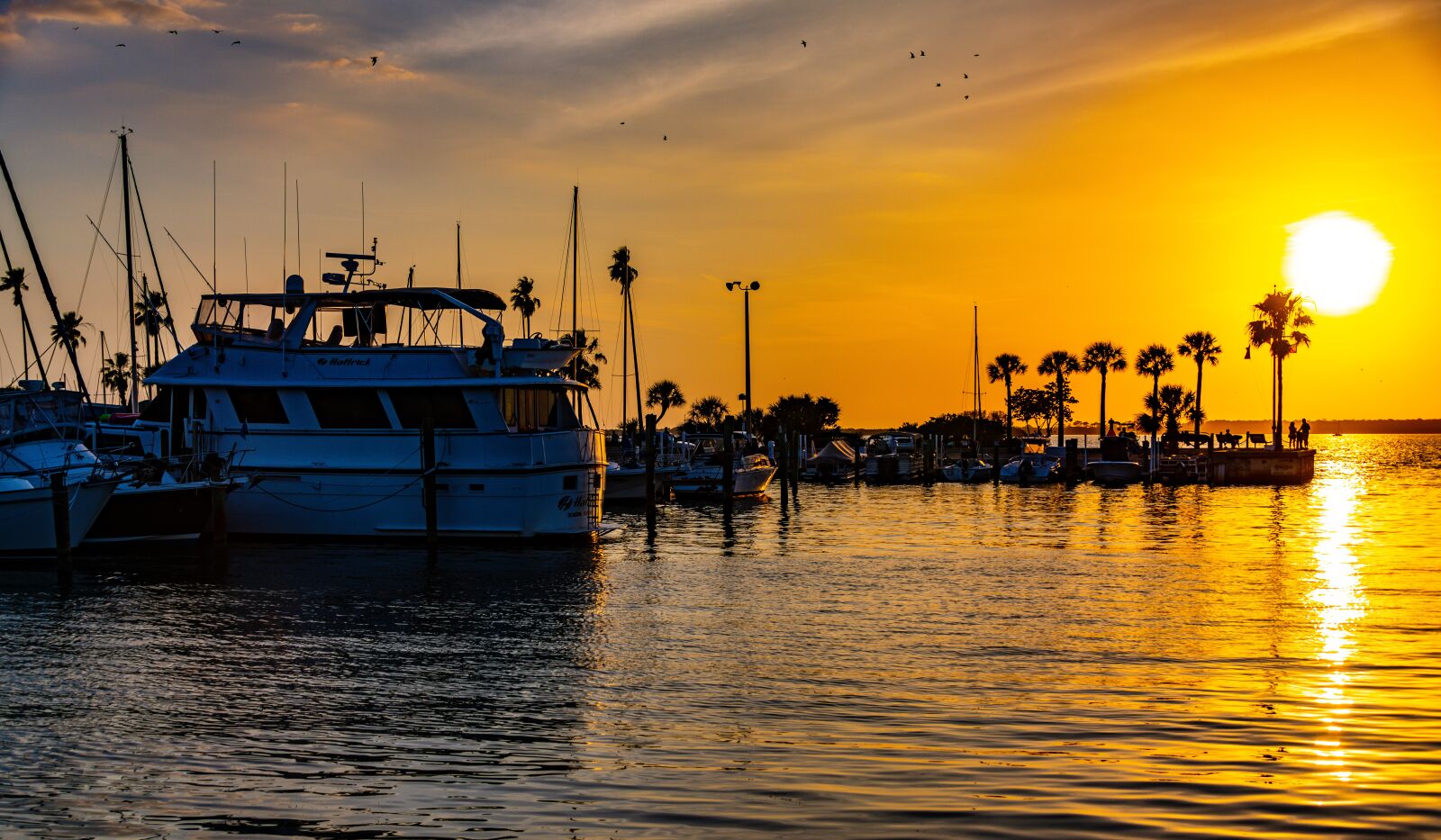Nikon D850 sample photo. Gulf, ocean, marina photography
