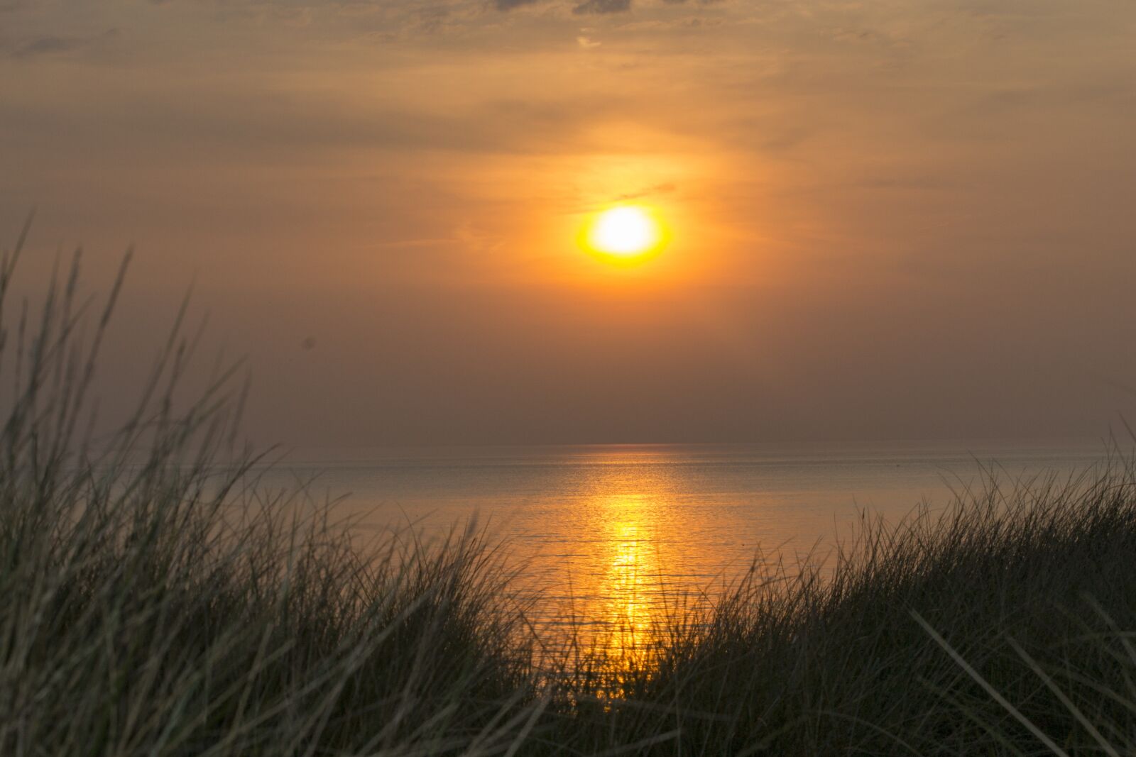 Nikon D3100 sample photo. Sun, sunset, setting sun photography