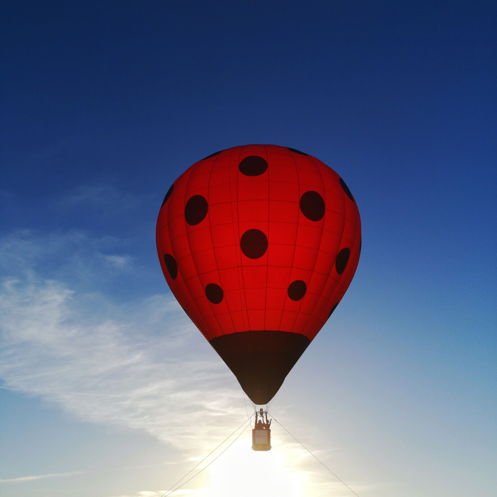 HUAWEI CLT-L29 sample photo. Hot-air ballooning, sky, color photography