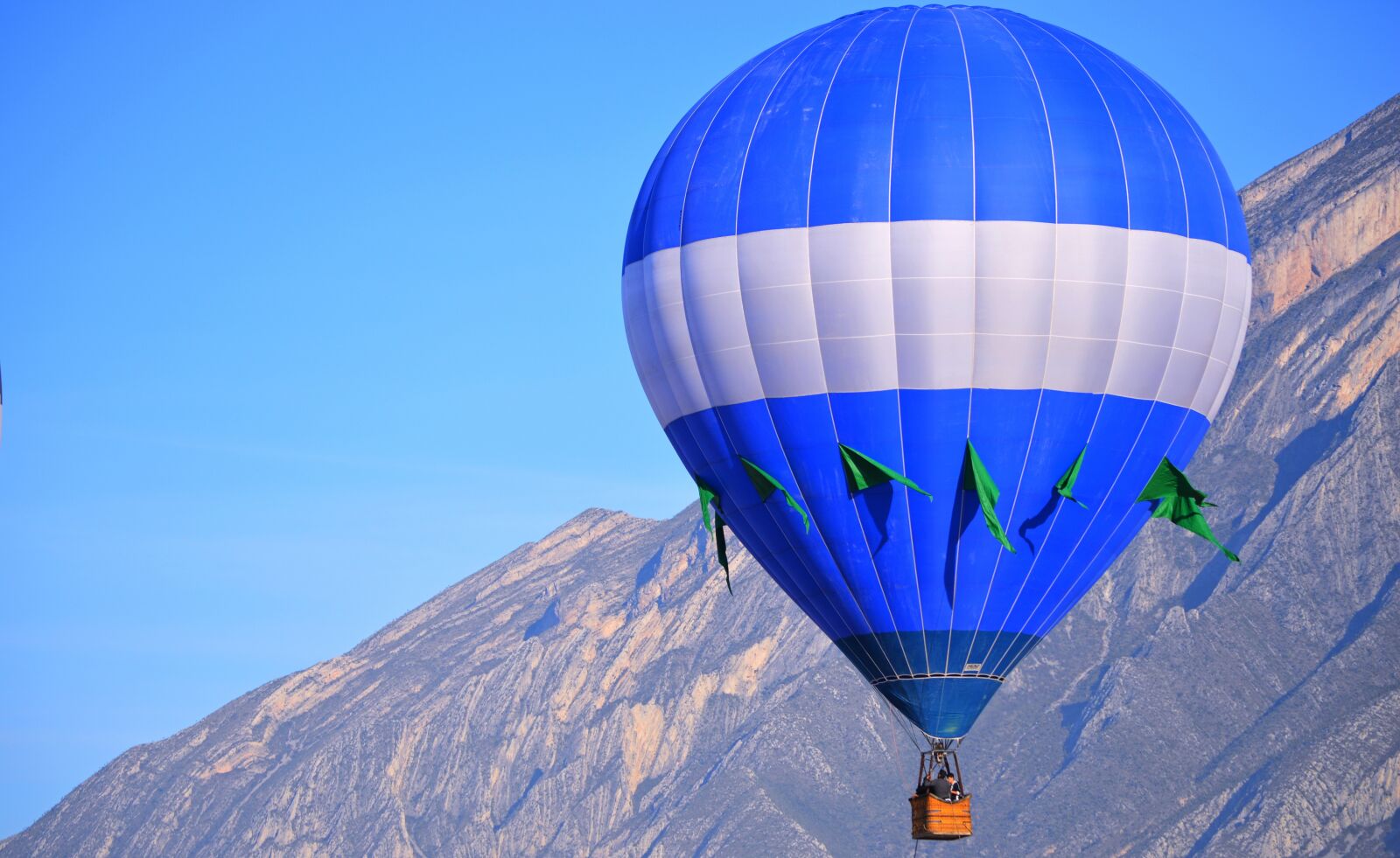 Nikon D3200 sample photo. Hot air balloon, landscape photography