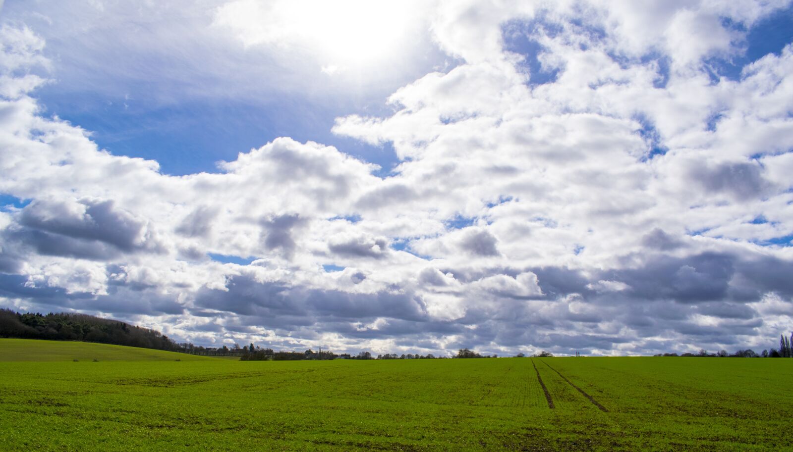 Nikon D5300 sample photo. Sky, grass, field photography