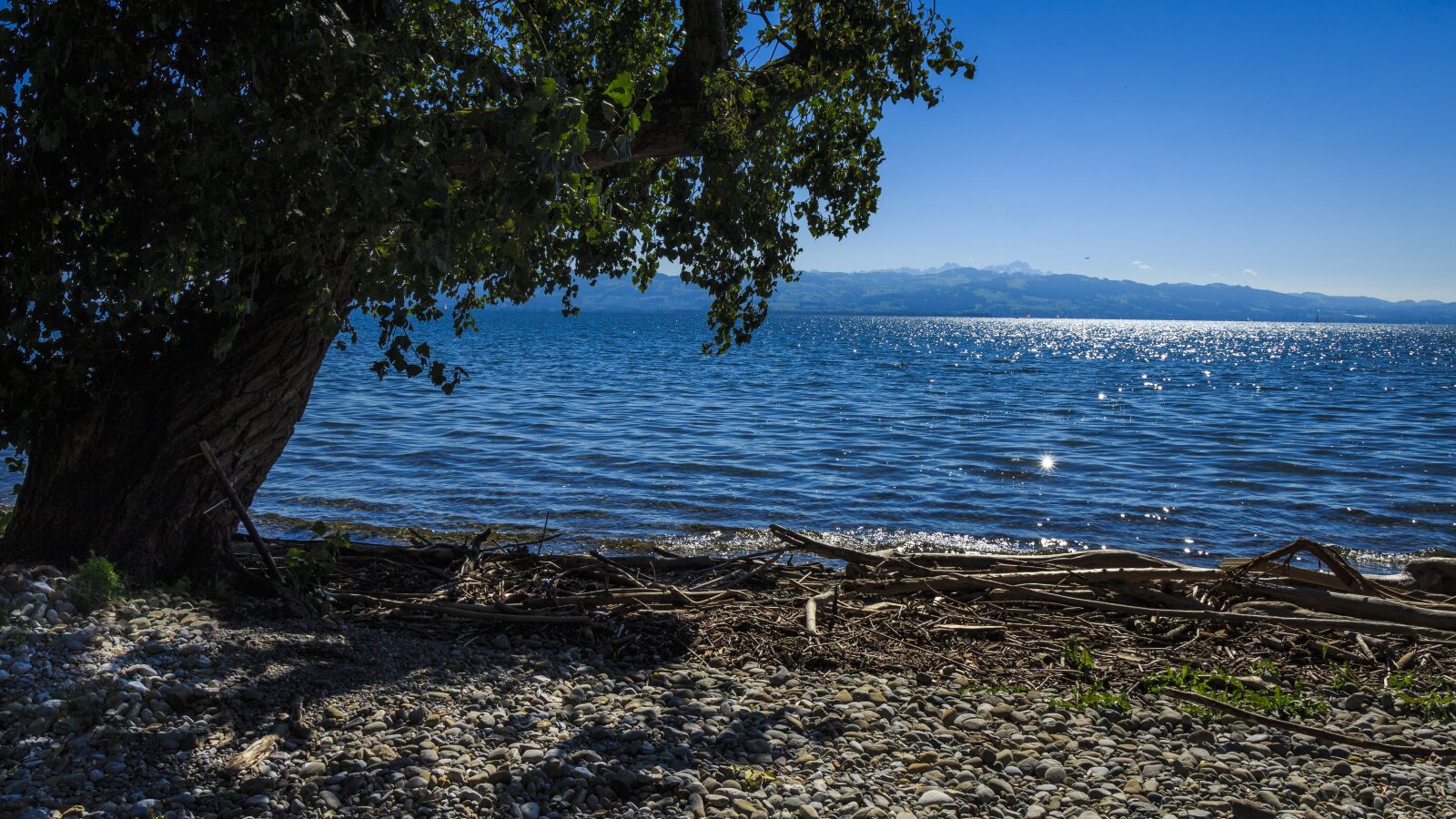 Canon EOS 650D (EOS Rebel T4i / EOS Kiss X6i) sample photo. Lake constance, sail, on photography