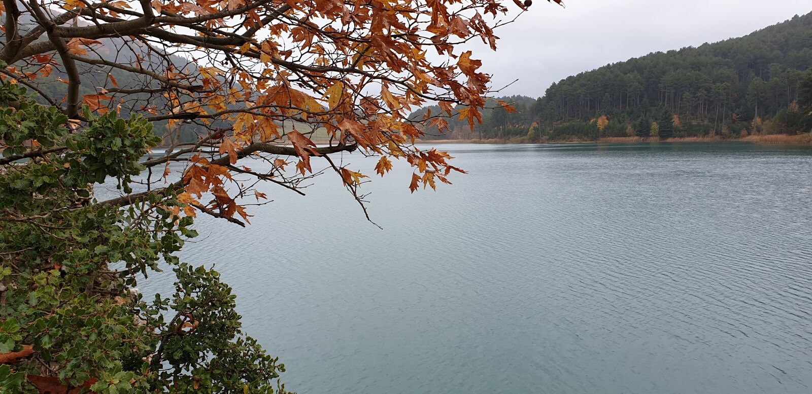 Samsung Galaxy Note9 sample photo. Lake, water, nature photography