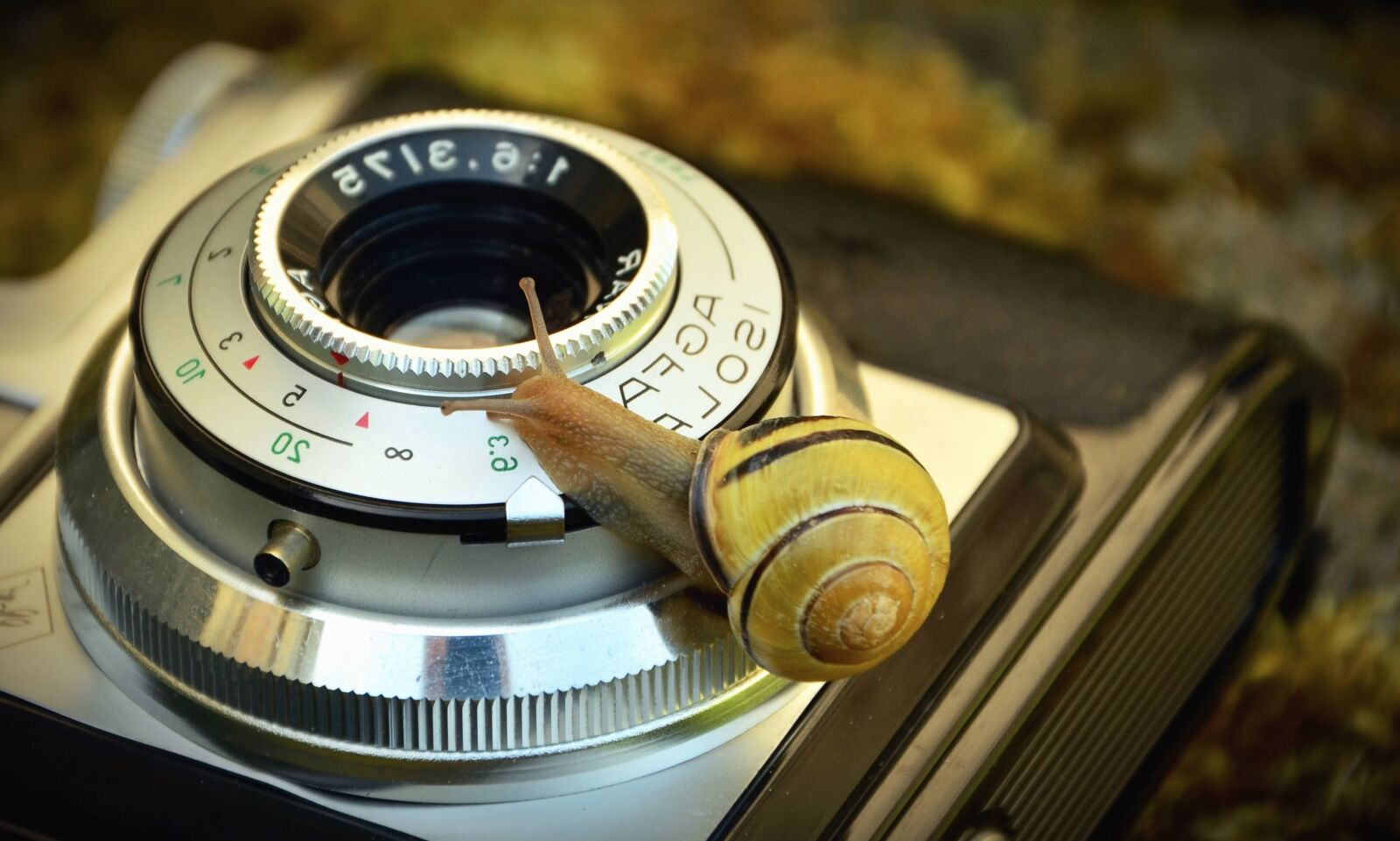 Nikon D5100 sample photo. Photo camera, lens, antique photography