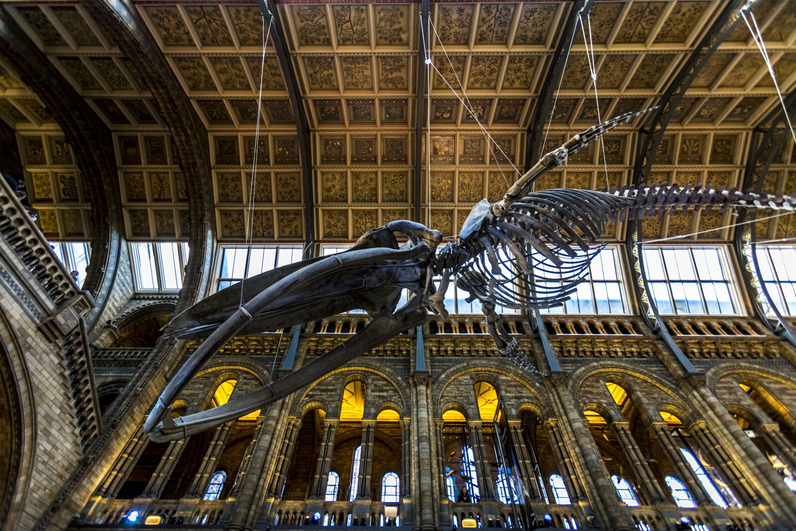 Canon EF 16-35mm F2.8L USM sample photo. London, england, natural history photography