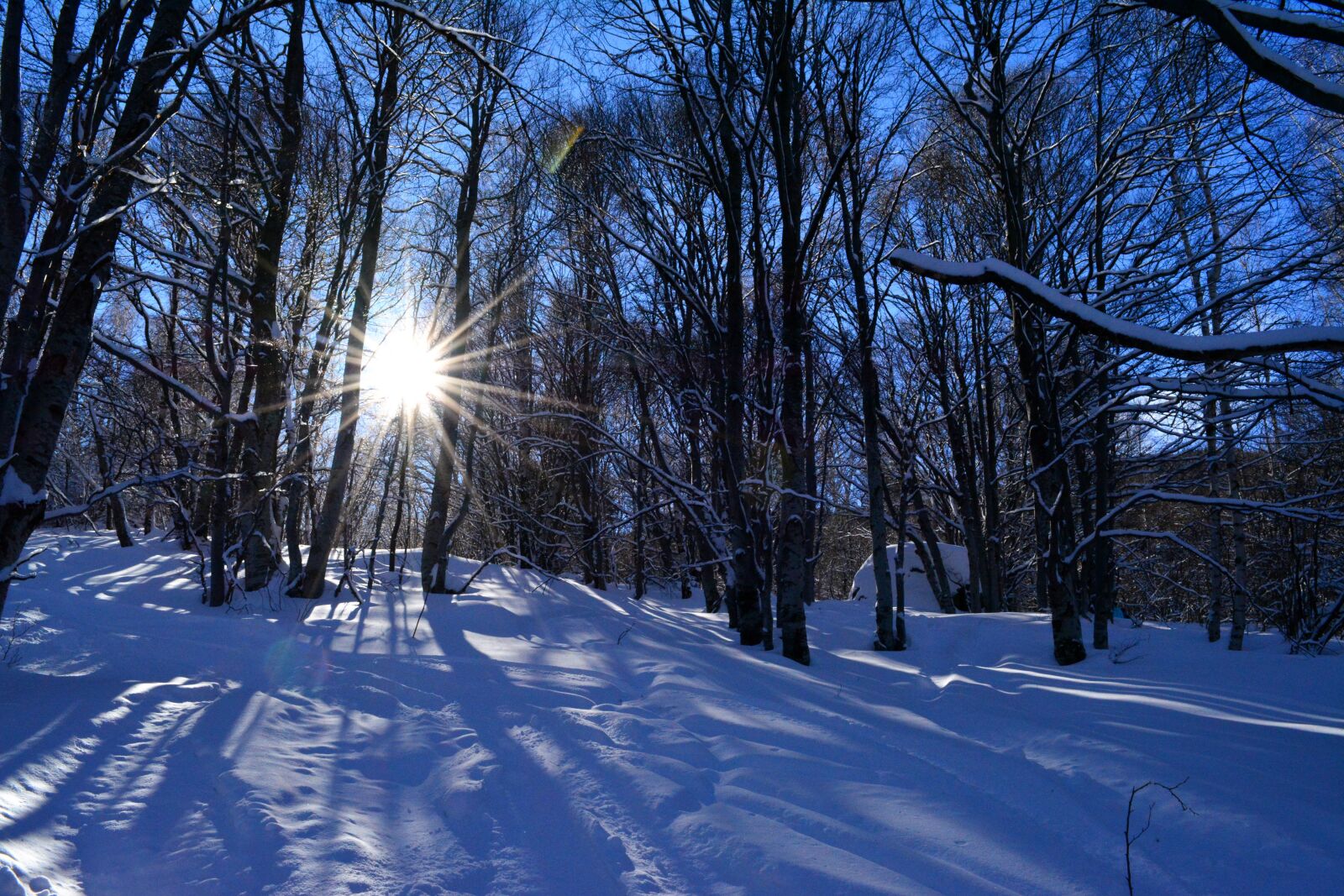 Nikon D5200 sample photo. Winter, mountain, sunshine photography
