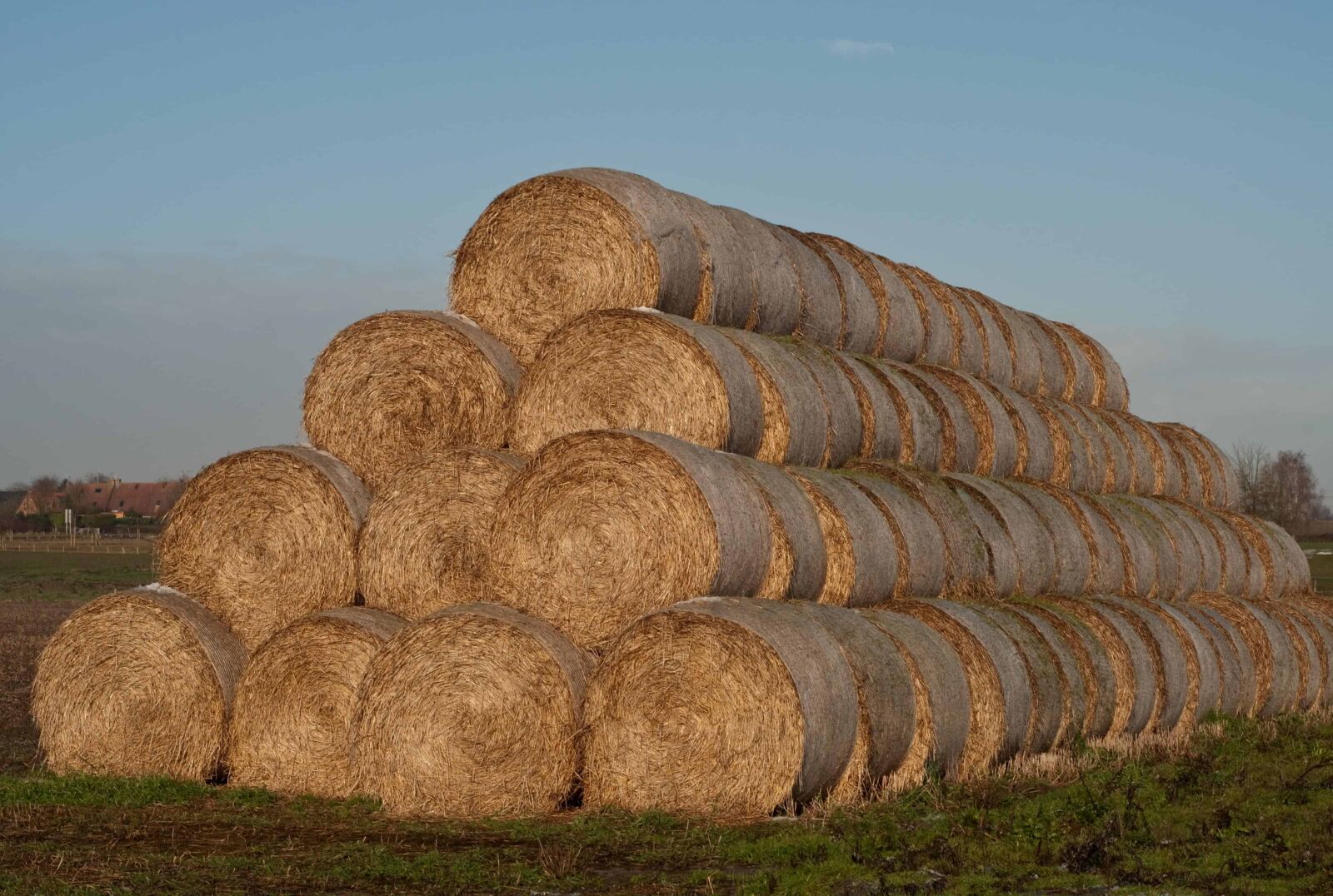 Nikon D300 sample photo. Hay, blue sky, grass photography