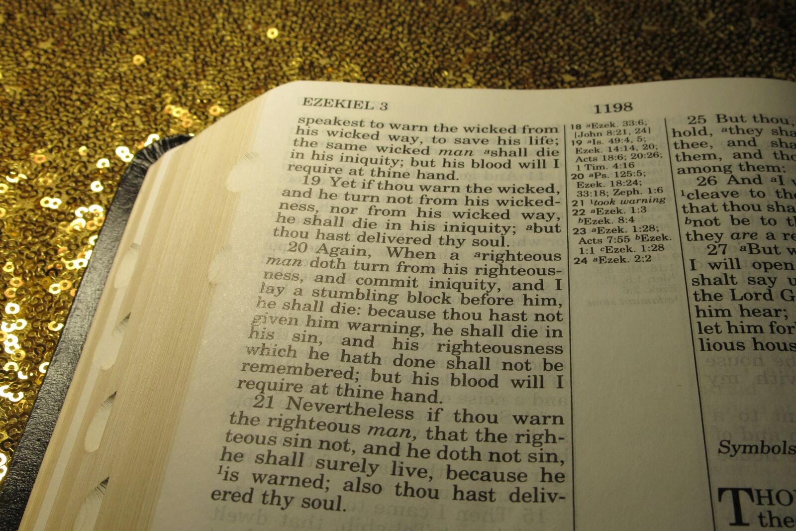 Canon PowerShot SX530 HS sample photo. Holy bible, gold, glitter photography