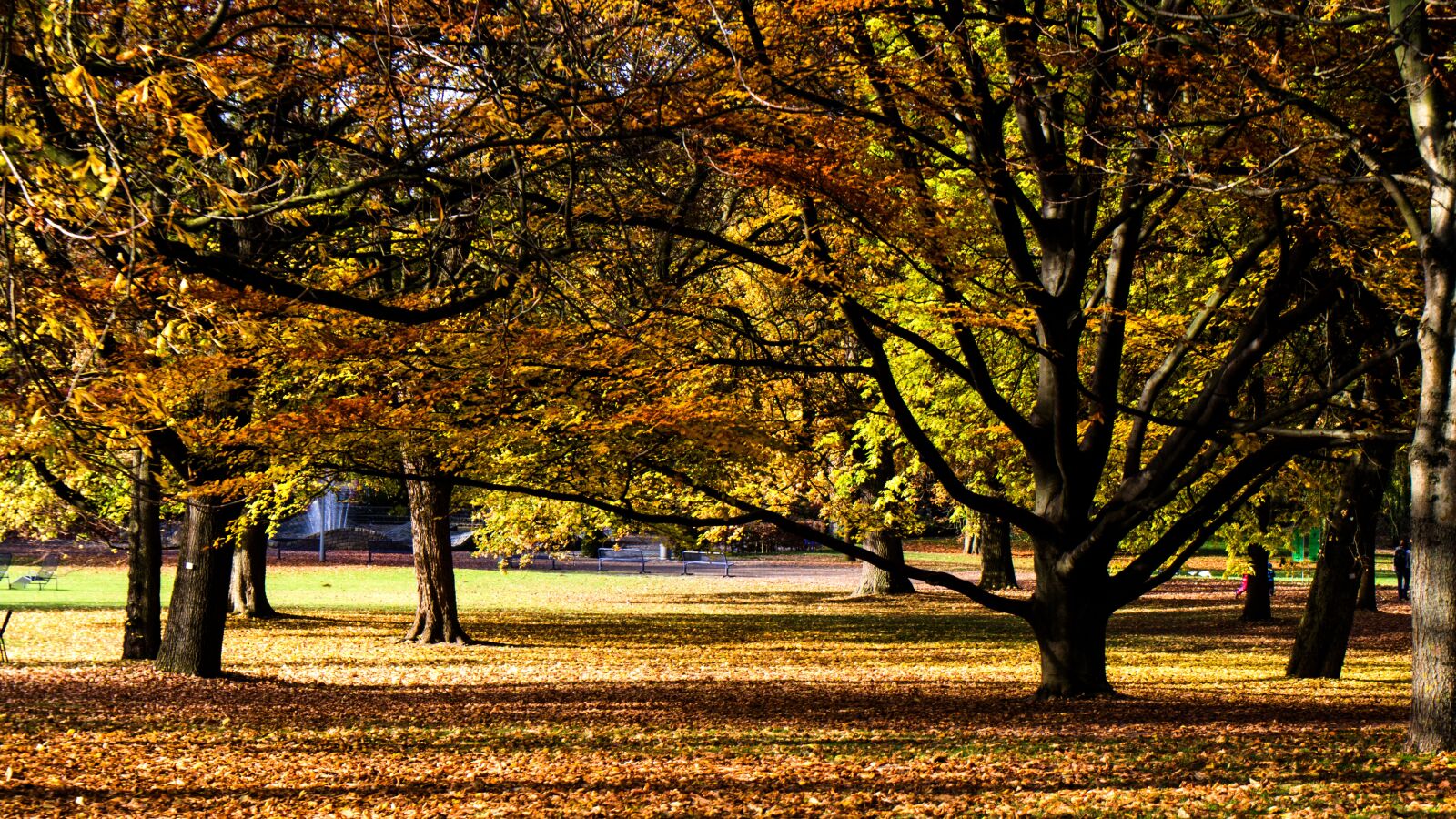Canon EOS 600D (Rebel EOS T3i / EOS Kiss X5) sample photo. Autumn, autumn mood, autumn photography