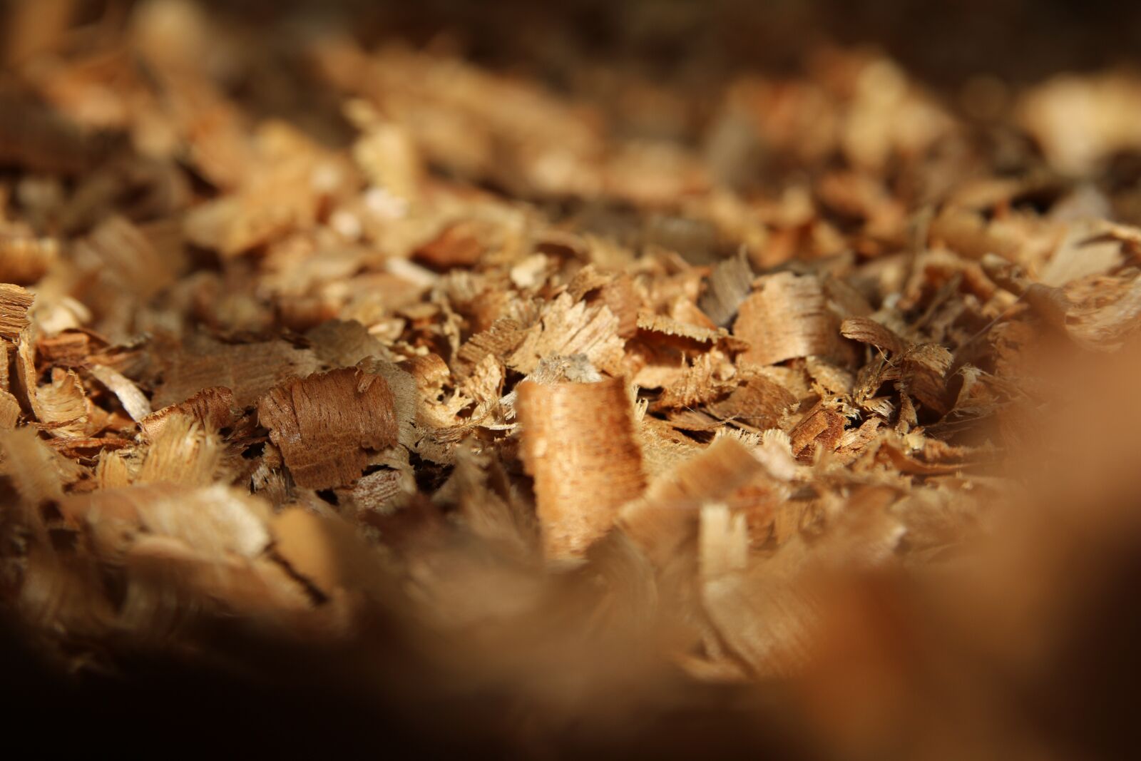 Canon EOS 70D sample photo. Wood, chip, texture photography
