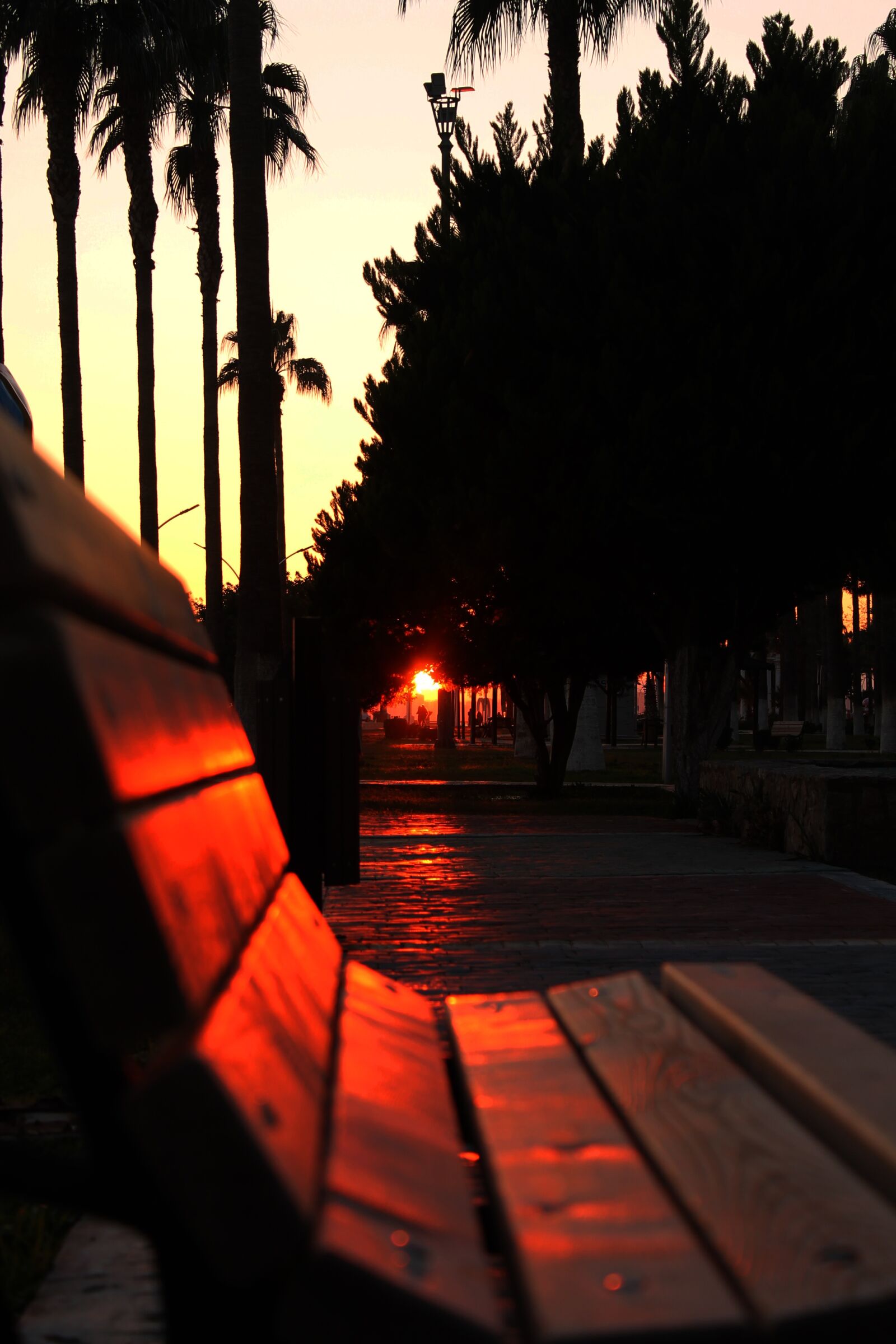 Canon EOS 1100D (EOS Rebel T3 / EOS Kiss X50) sample photo. Solar, road, landscape photography