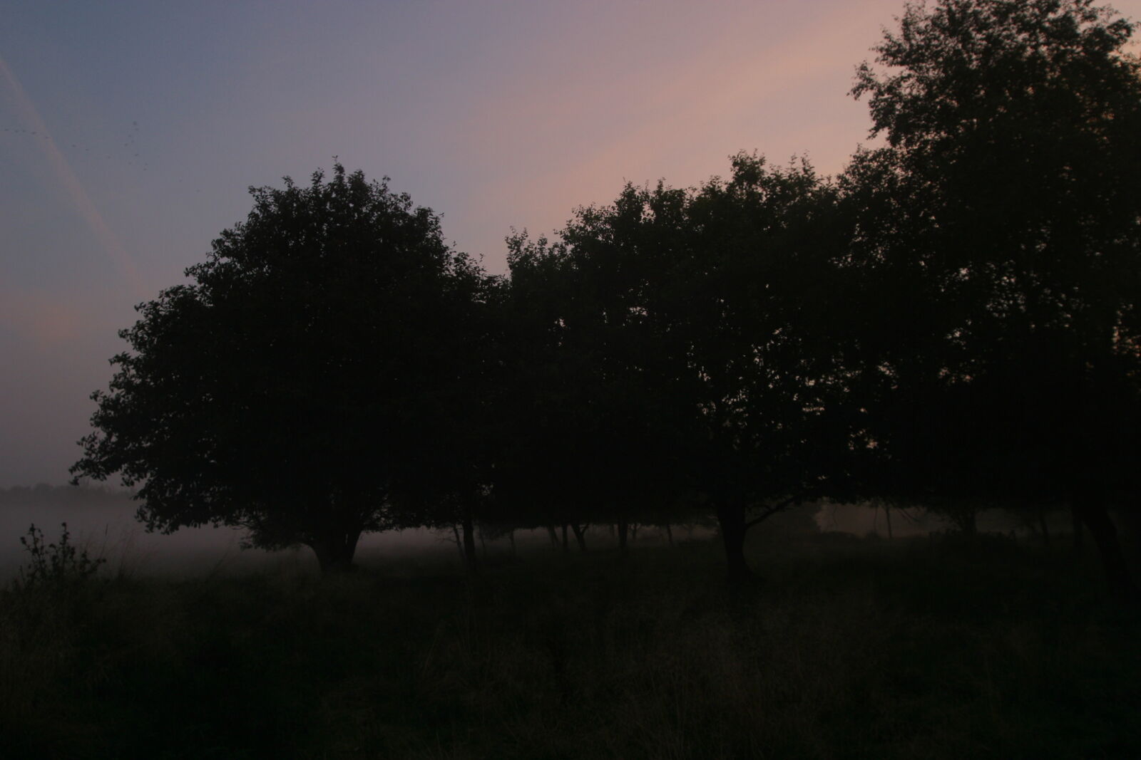 Canon EOS D60 sample photo