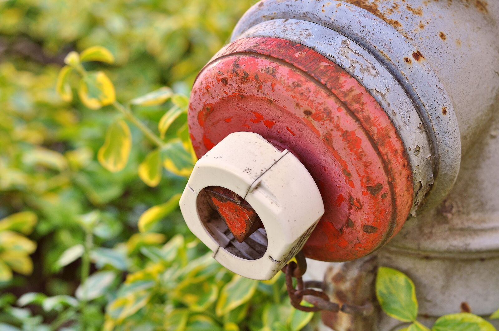 Nikon D90 sample photo. Hydrant, water, fire photography
