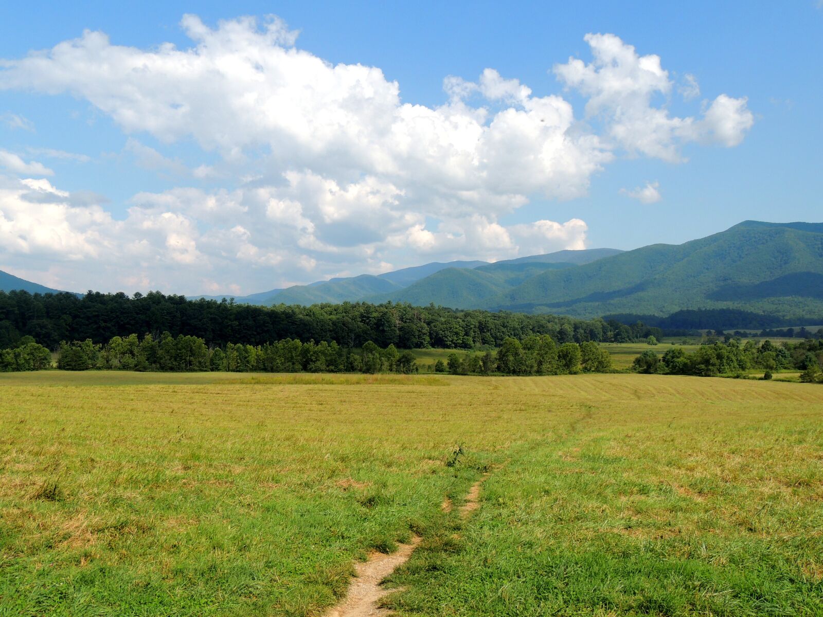Nikon Coolpix P510 sample photo. Path, way, mountain photography