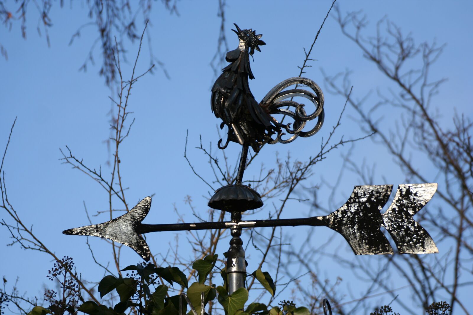 Canon EOS 350D (EOS Digital Rebel XT / EOS Kiss Digital N) sample photo. Weather vane, north, west photography