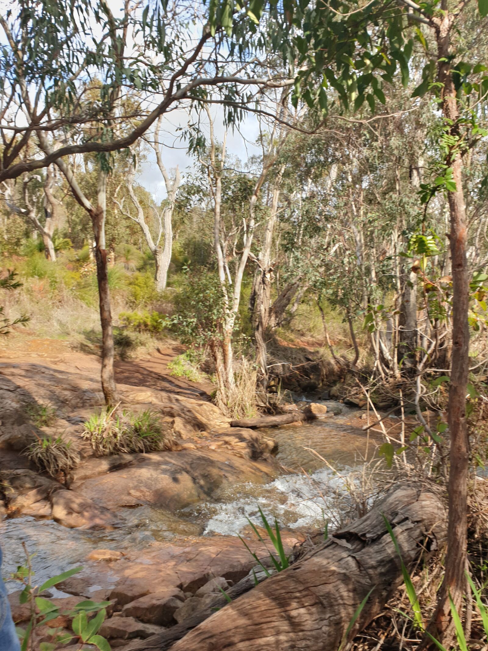 Samsung Galaxy S9 sample photo. Australia, perth hills, western photography