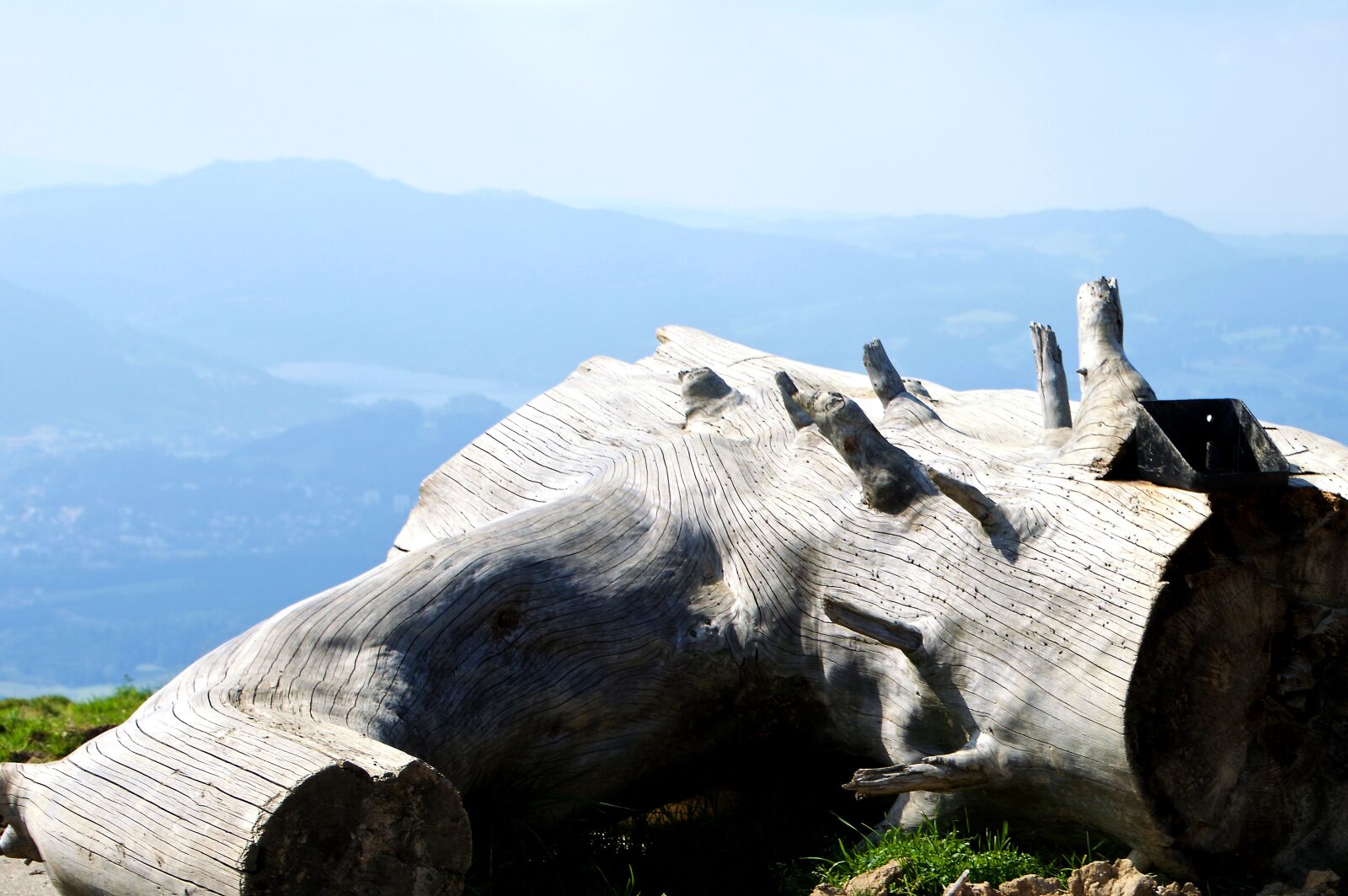 Nikon D3200 sample photo. Log, branch, dry photography