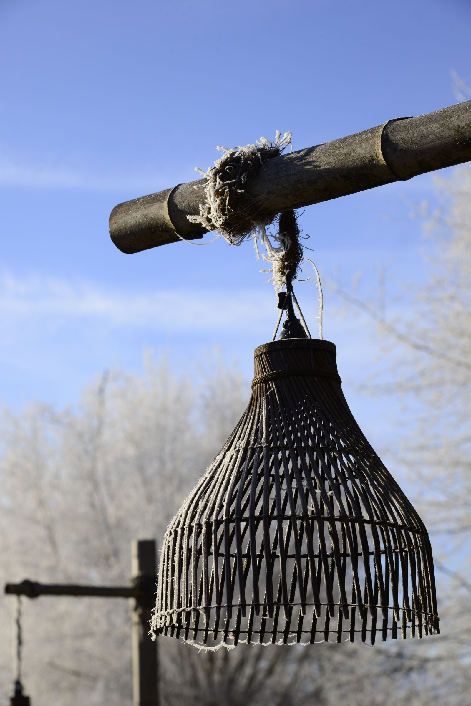 Nikon D610 sample photo. Hoarfrost, cold, winter photography