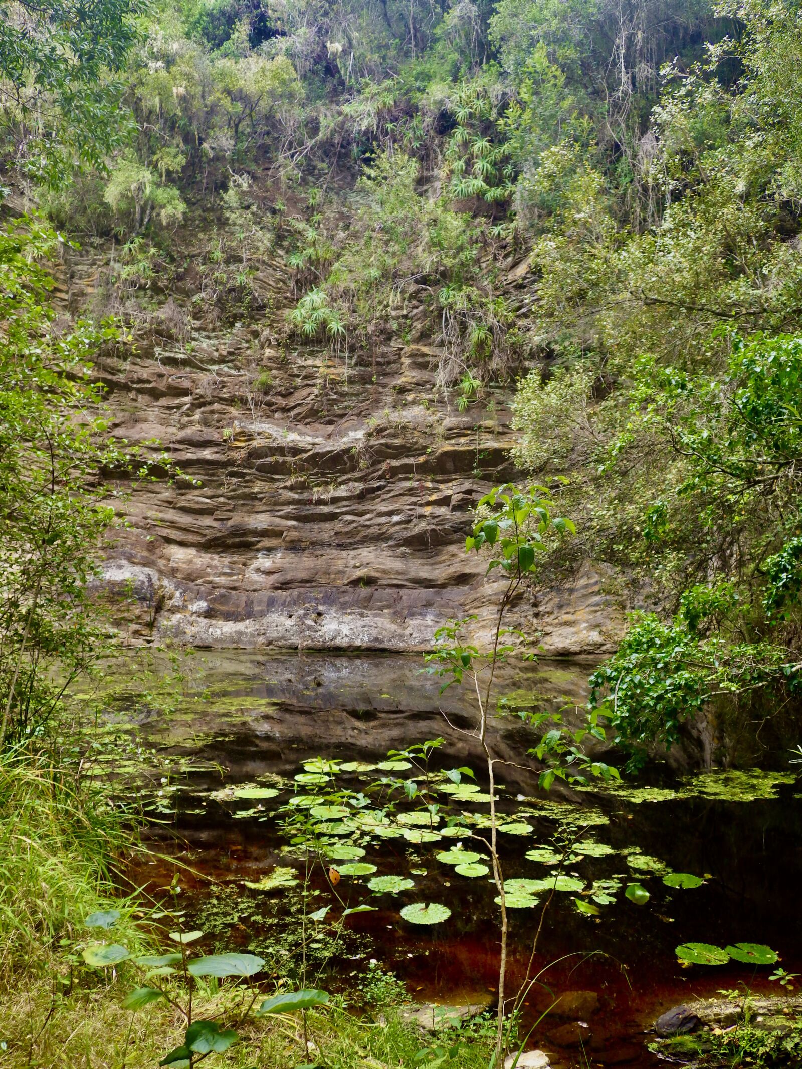 Ricoh WG-4 sample photo. River, water, rock face photography