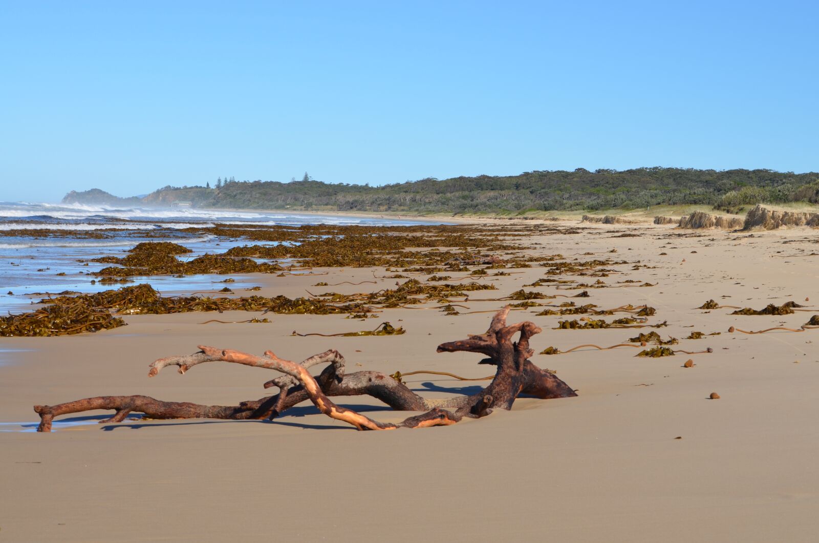 Nikon D5100 sample photo. Beach, ocean, log photography