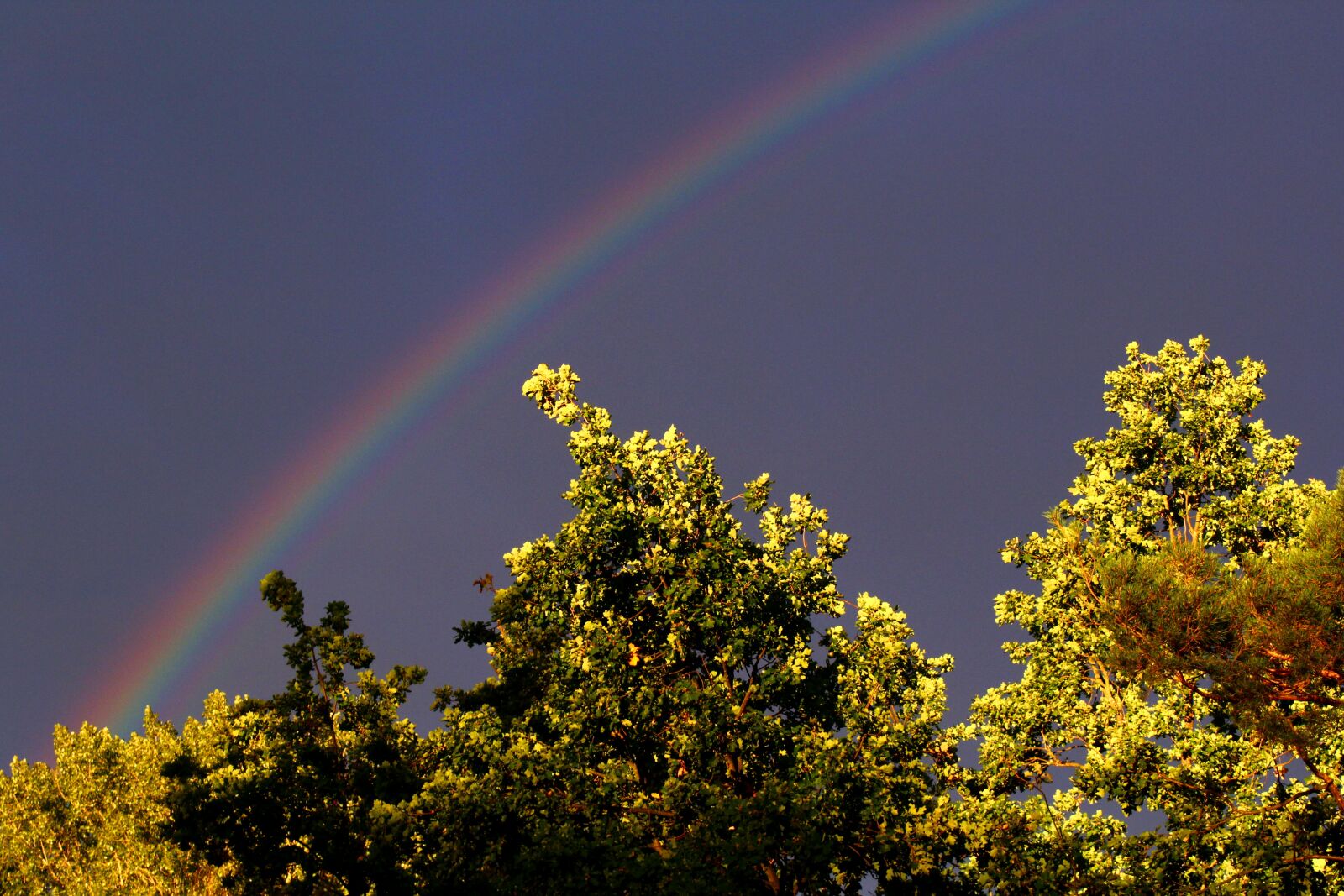 Canon EOS 1200D (EOS Rebel T5 / EOS Kiss X70 / EOS Hi) sample photo. Rainbow, sky, mood photography