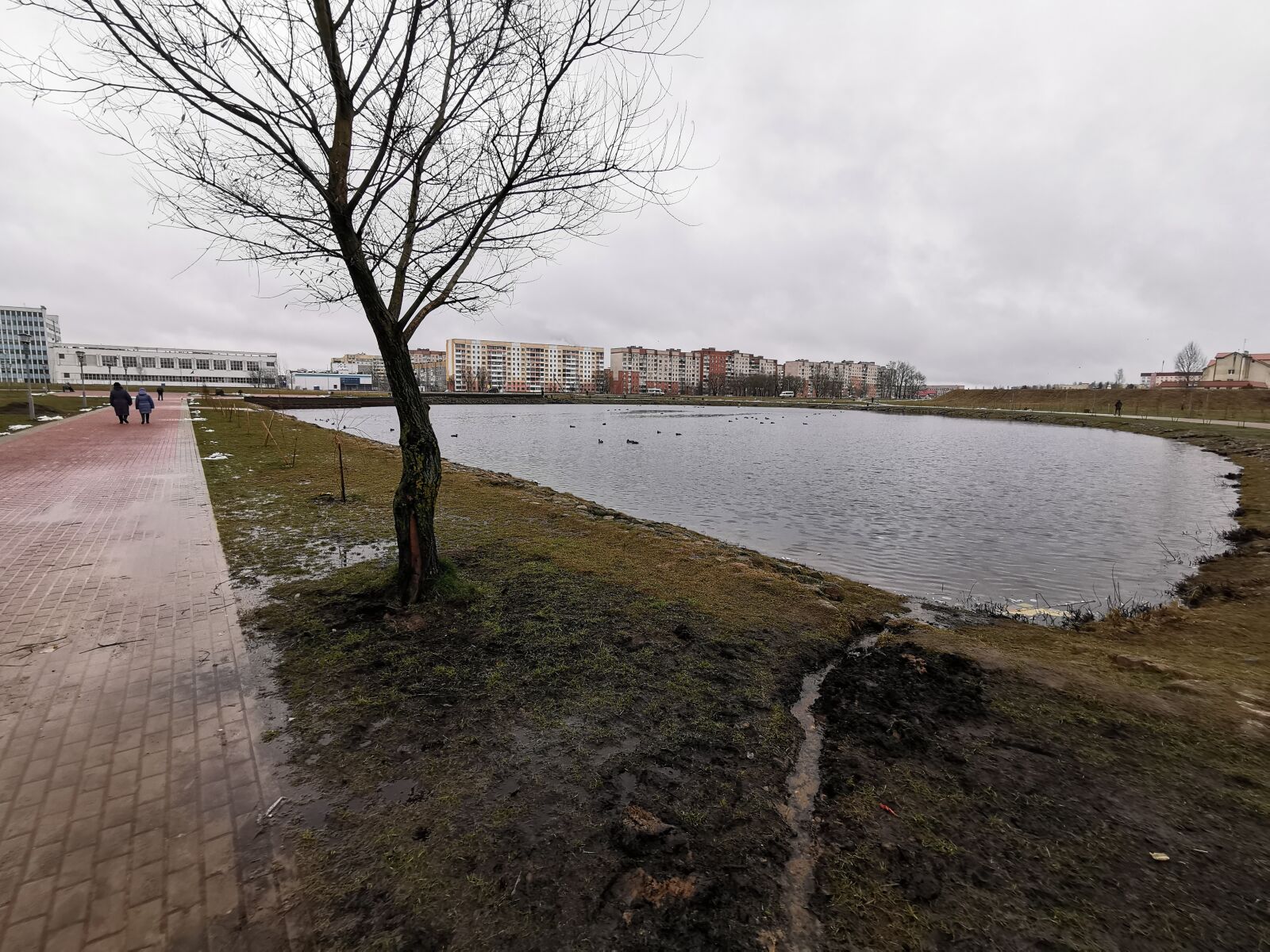 HUAWEI P30 sample photo. Nature, landscape, lake photography