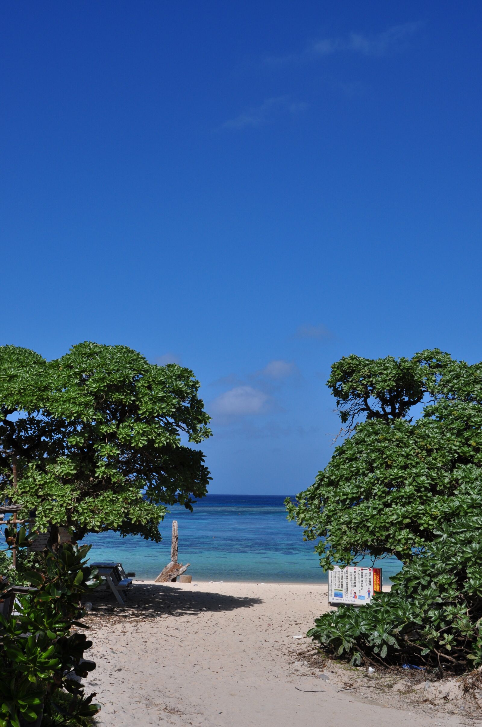 Nikon D90 sample photo. Miyako island, sea, blue photography
