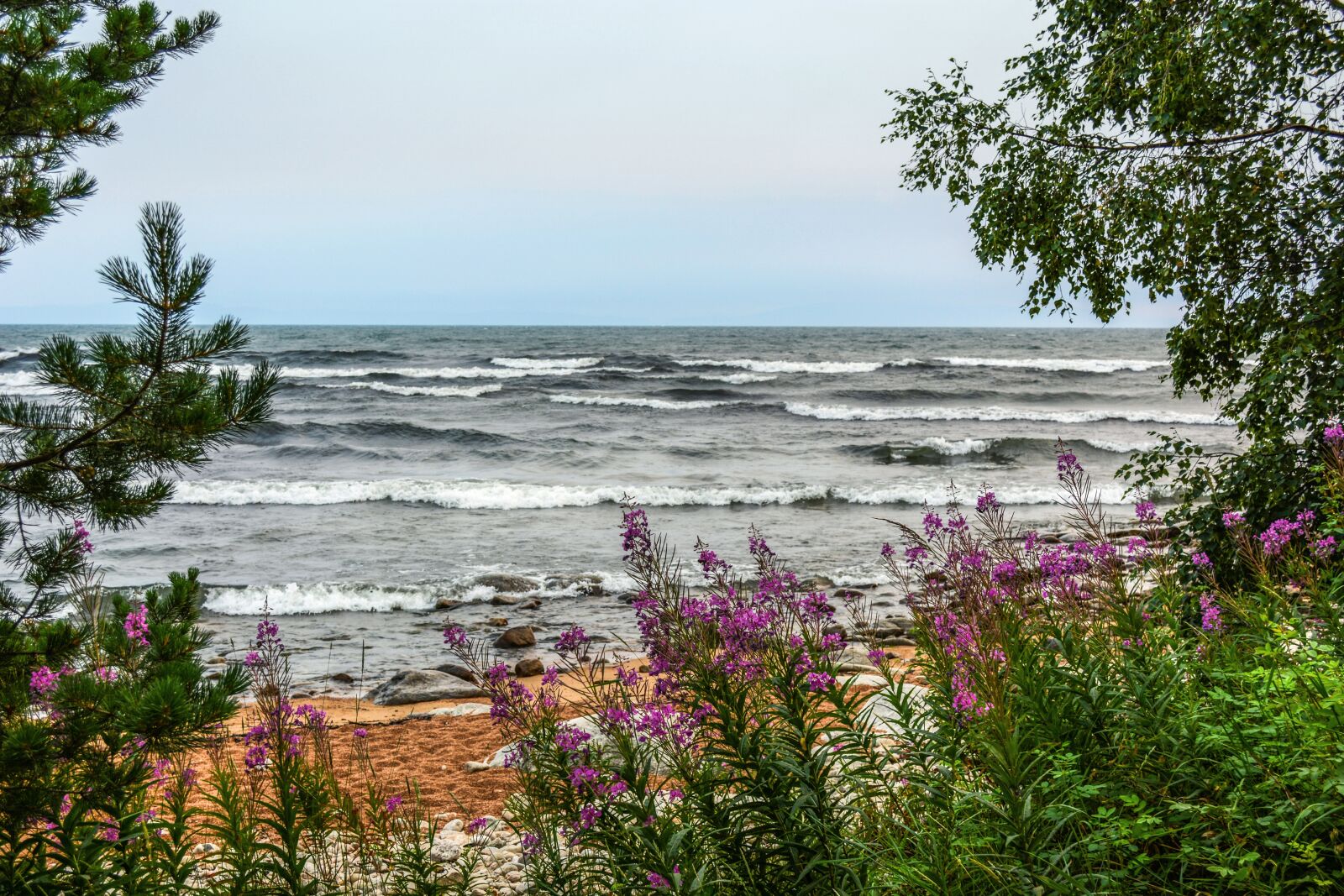 Nikon D5200 sample photo. Landscape, sea, flowers photography