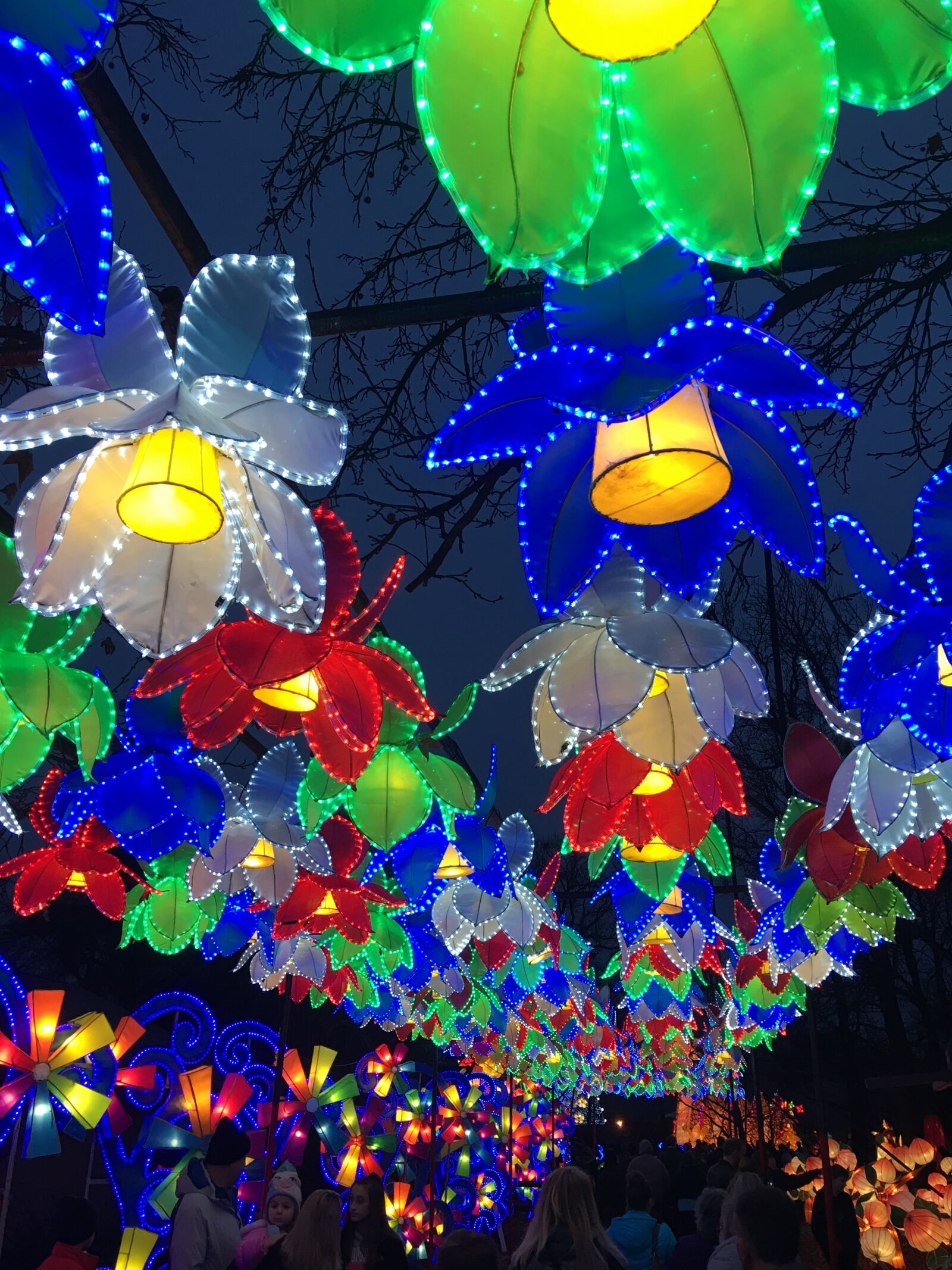 Apple iPhone 6s Plus sample photo. Lights, chinese, festival photography