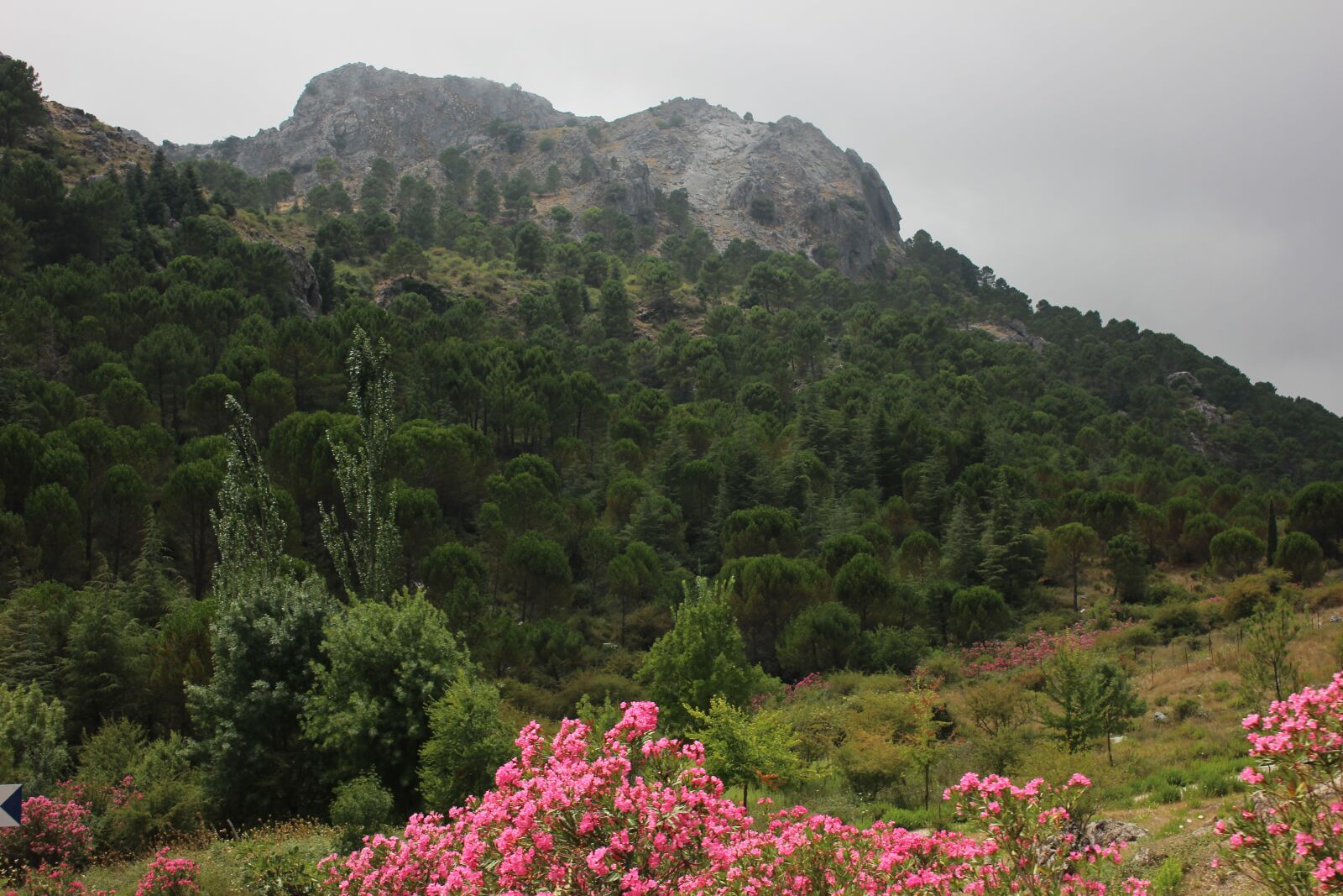 Canon EOS 600D (Rebel EOS T3i / EOS Kiss X5) sample photo. Spain, travel, viagem photography