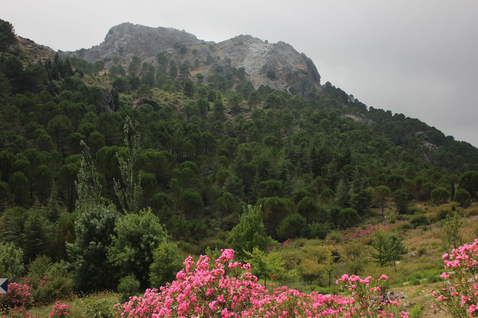 Canon EOS 600D (Rebel EOS T3i / EOS Kiss X5) + Canon EF-S 18-55mm F3.5-5.6 IS STM sample photo. Spain, travel, viagem photography