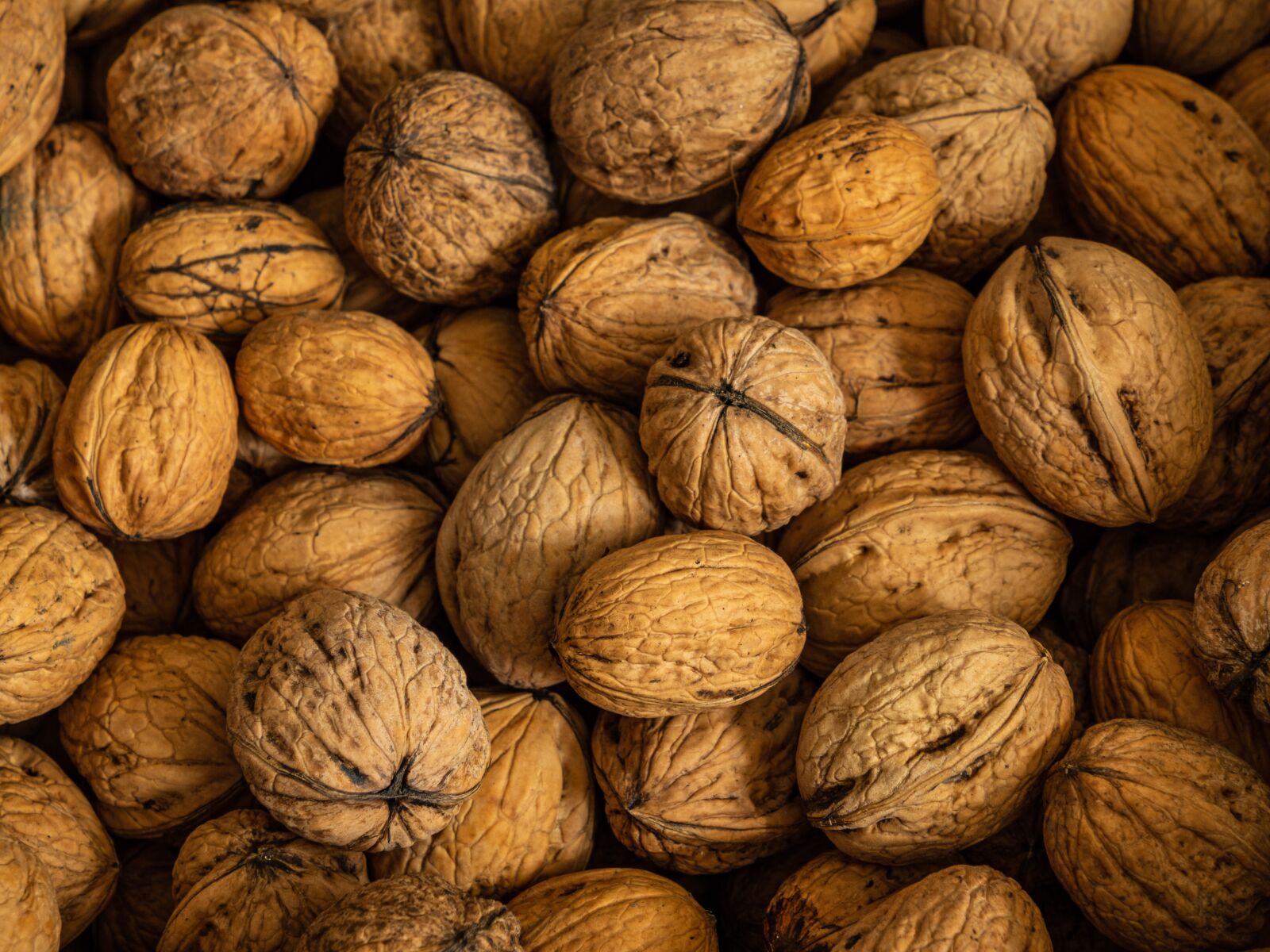 Olympus OM-D E-M10 III sample photo. Nuts, walnuts, pile photography