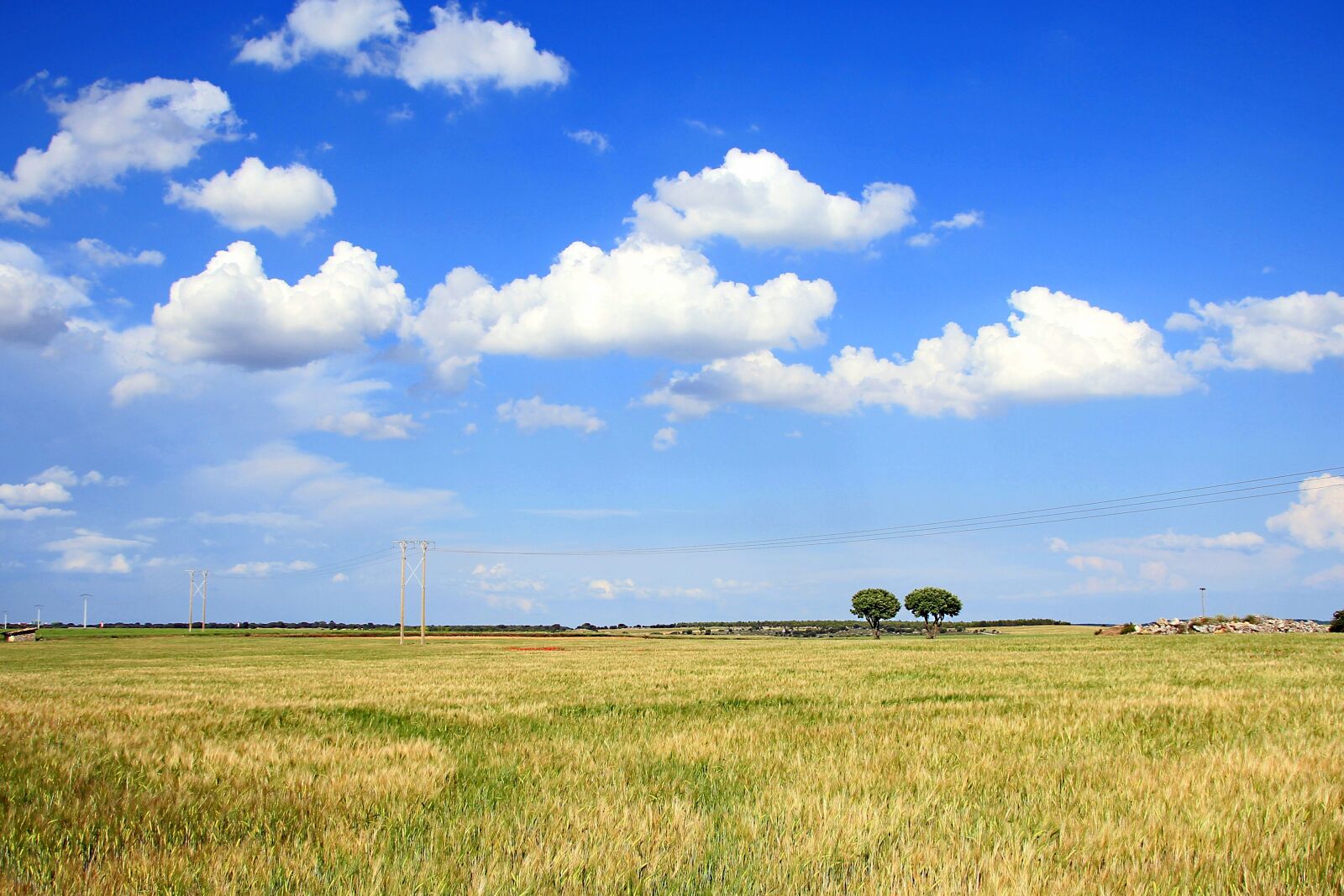 Canon EOS 60D sample photo. Field, nature, clouds photography