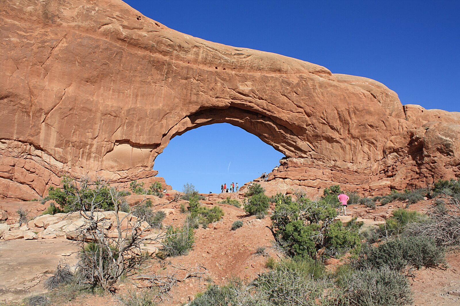 Canon EOS 1000D (EOS Digital Rebel XS / EOS Kiss F) sample photo. Arches national park, rocks photography