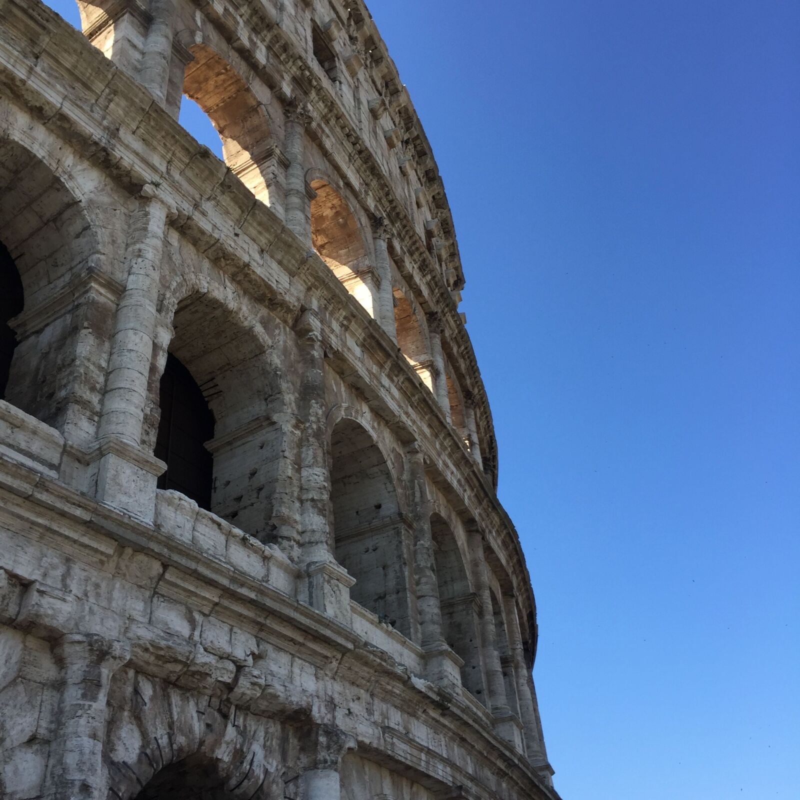Apple iPhone 6 sample photo. Rome, colosseum, italy photography
